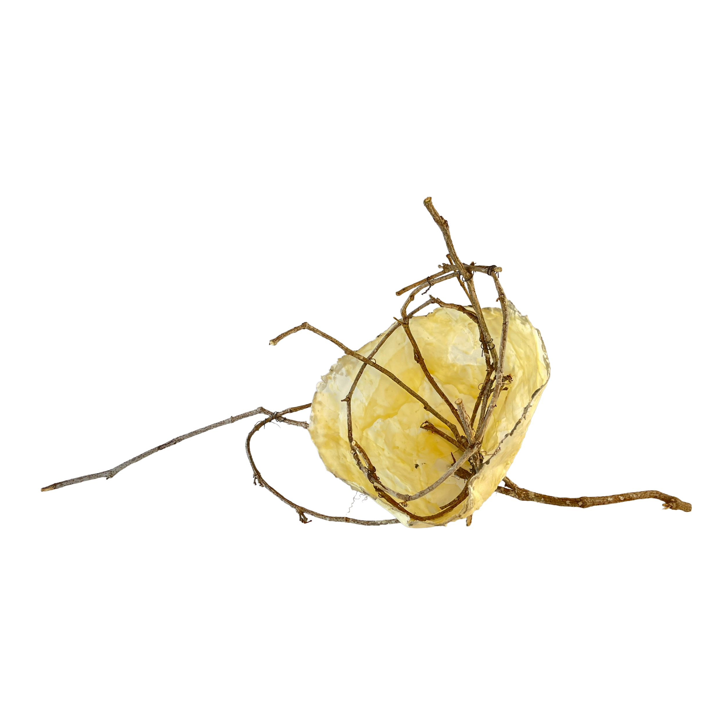 OAA  Collaborative BOWL - PNG LG.png