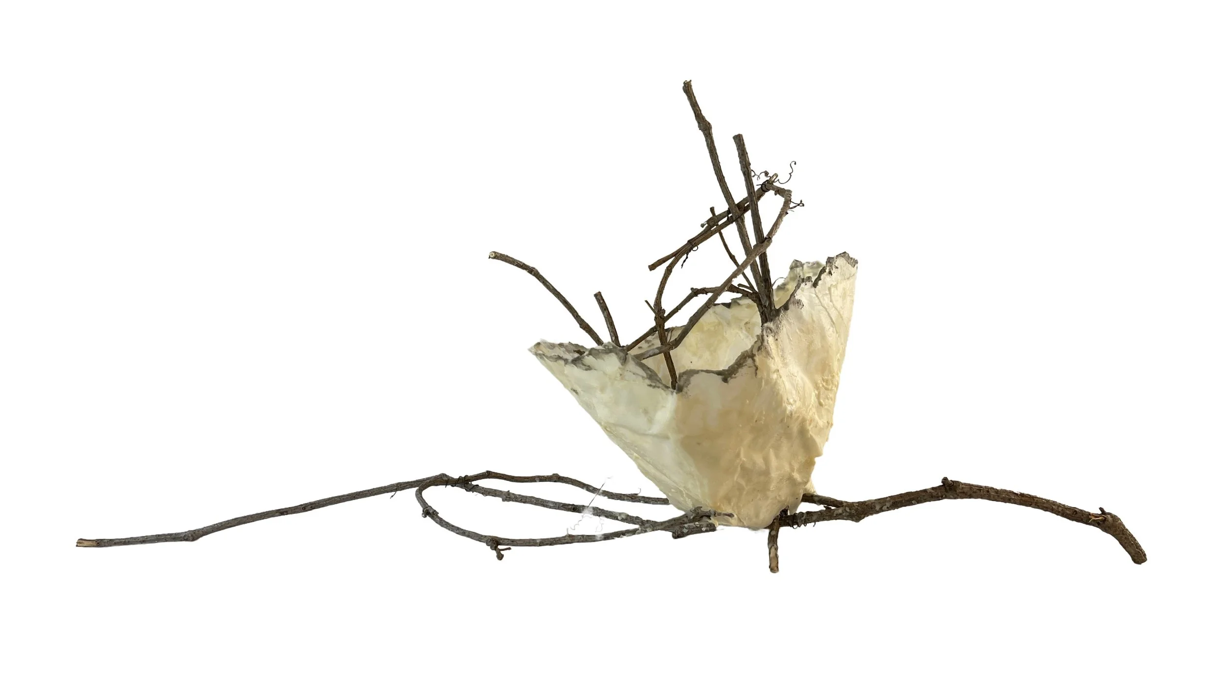 25 - Patty Bowman Kingsley - OAA Collaborative Basket V1.jpeg