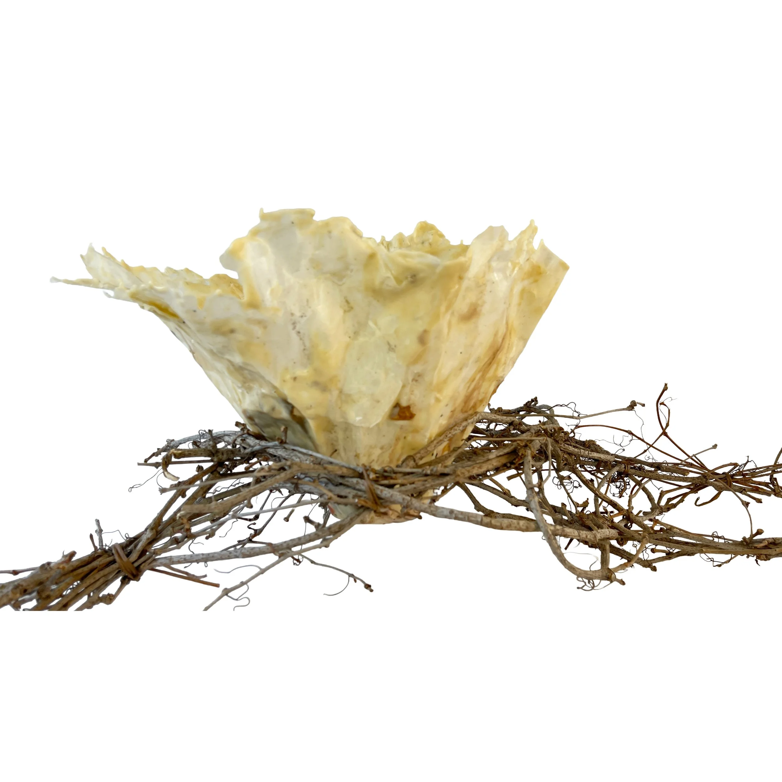 26 -  Patty Bwoman Kingsley - Fragile Form.jpeg