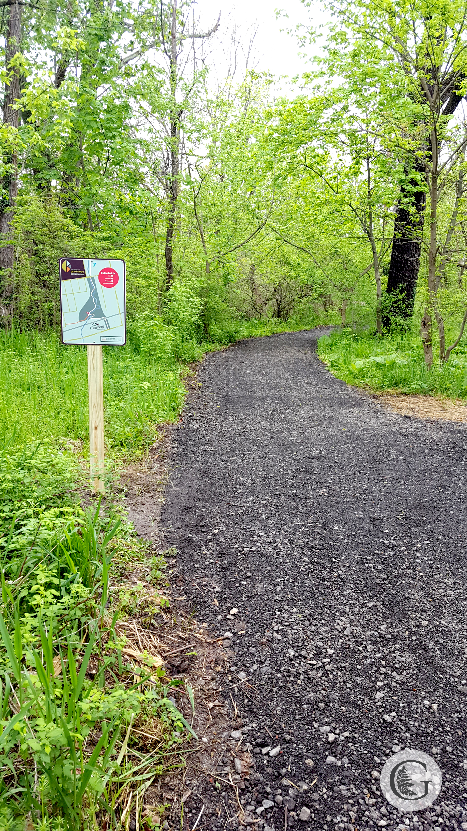 trail-7.jpg