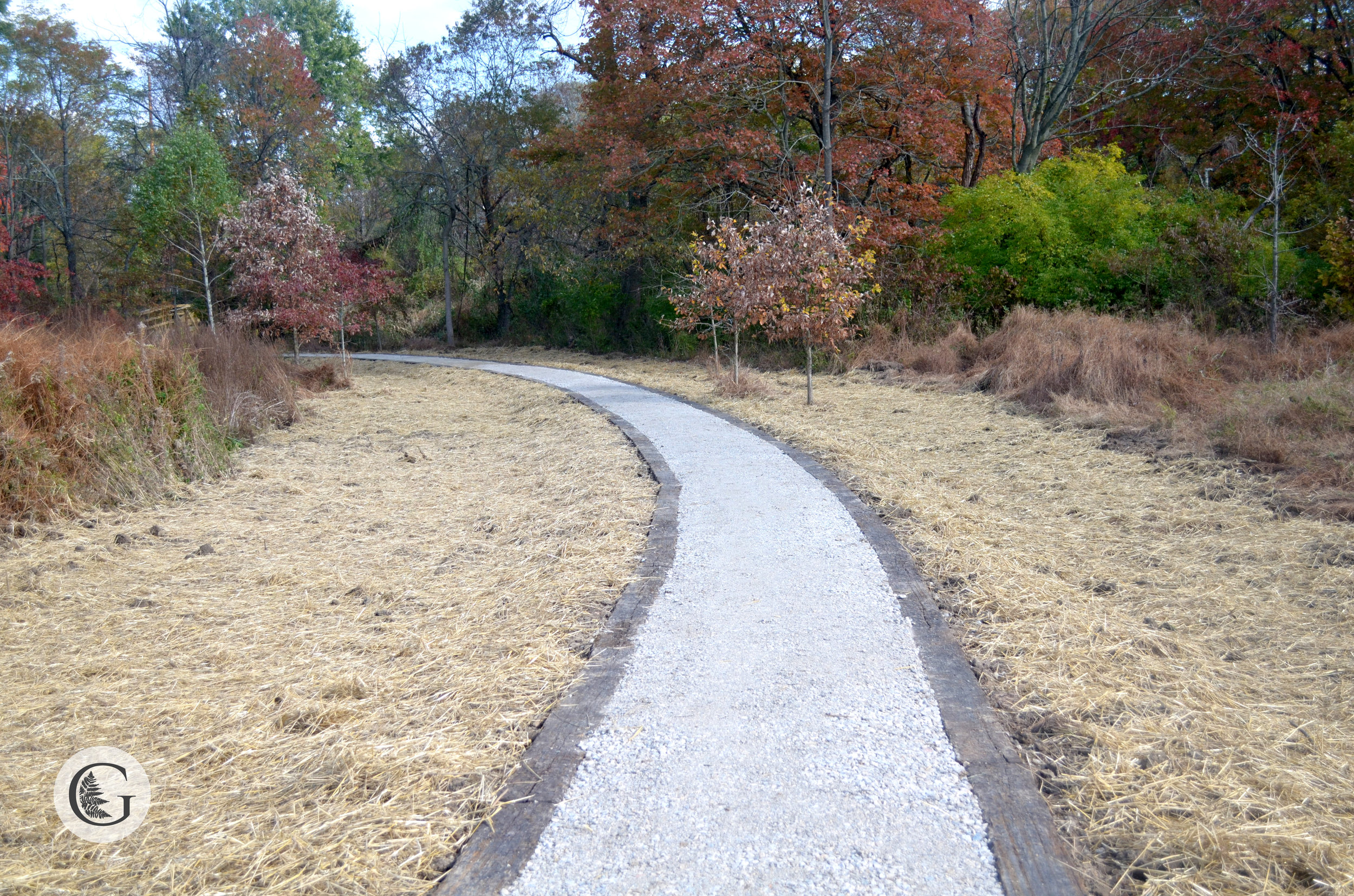 trail-1.jpg