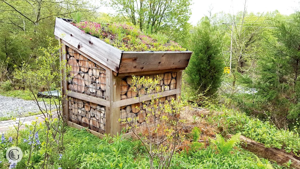 wood-shed-2-1200x675.jpg