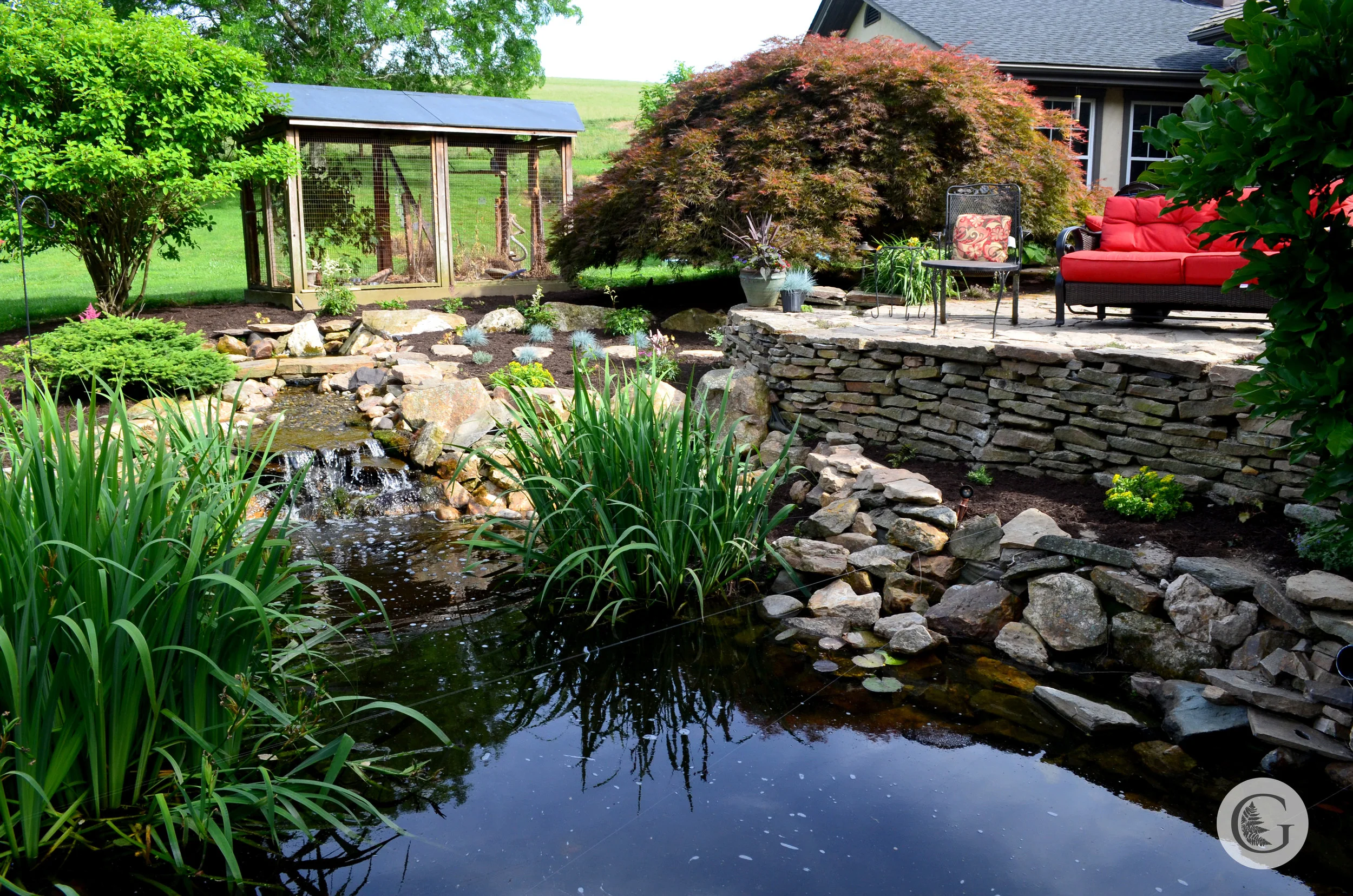 pond-4.jpg