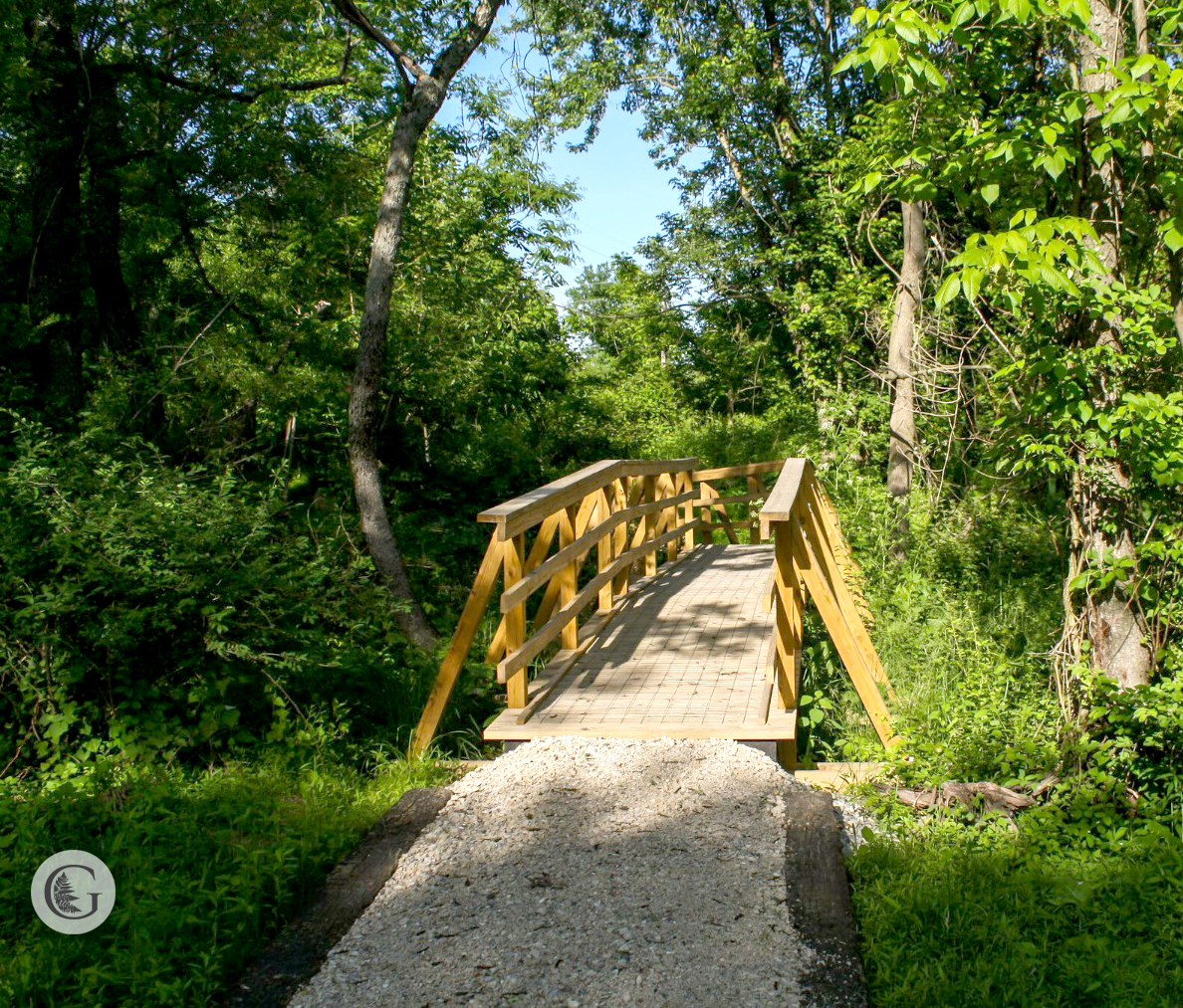 trail-4.jpg