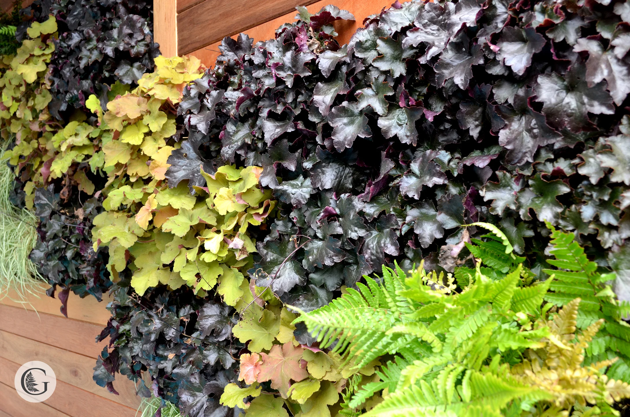 living wall.jpg