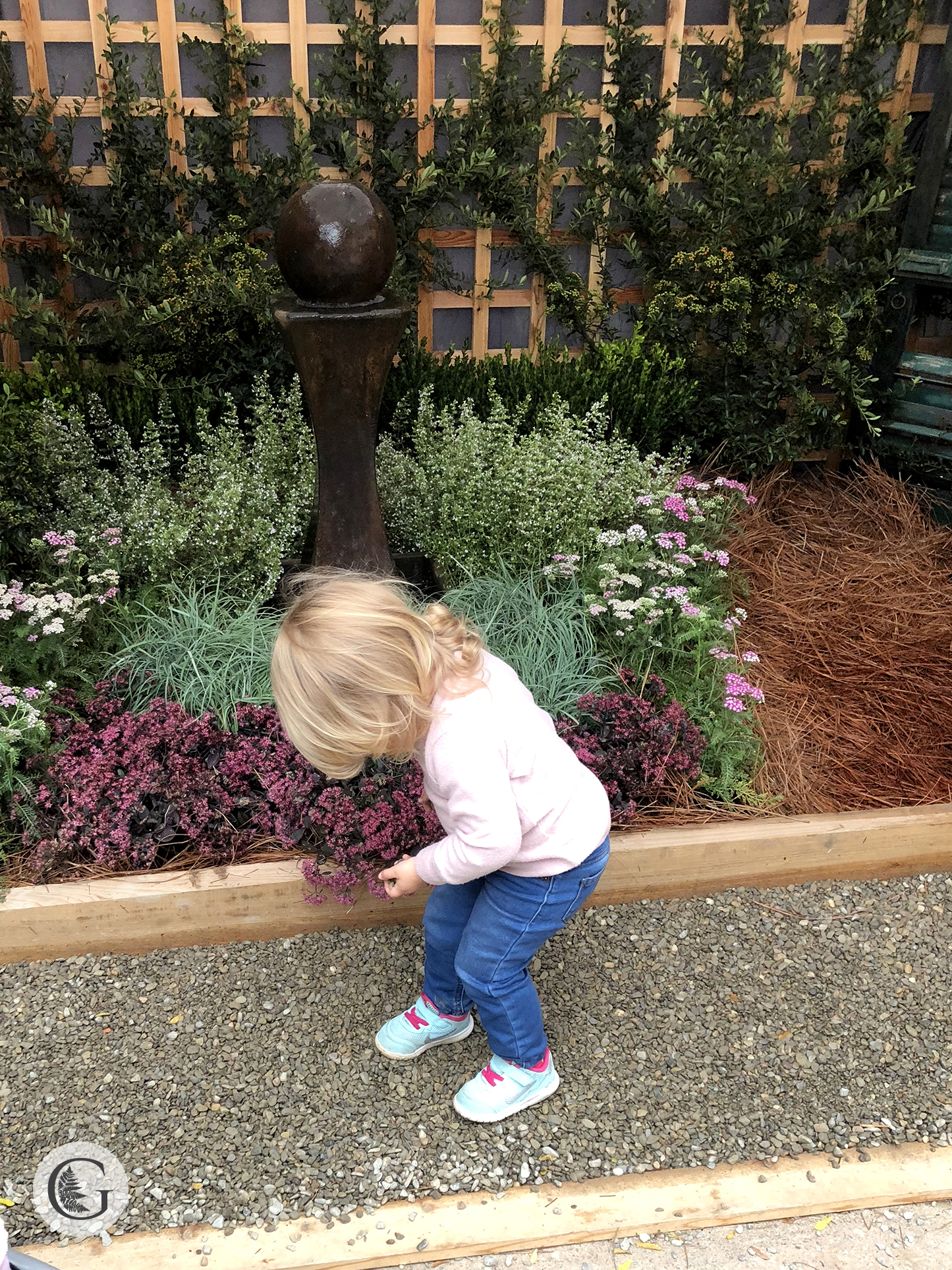 Mush Fest 2019 pea gravel and Hadley.jpg