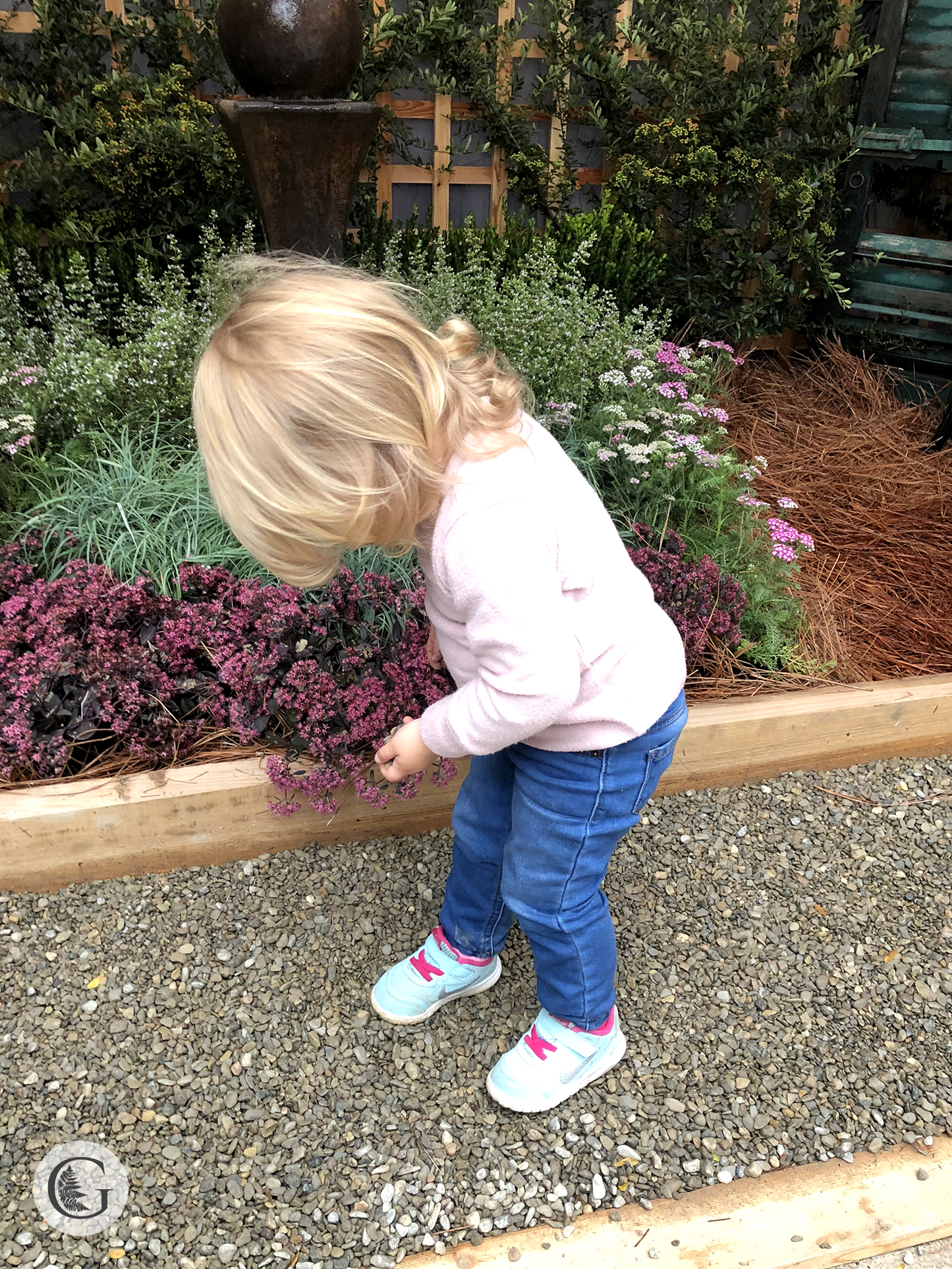 Mush Fest 2019 pea gravel and Hadley 2.jpg