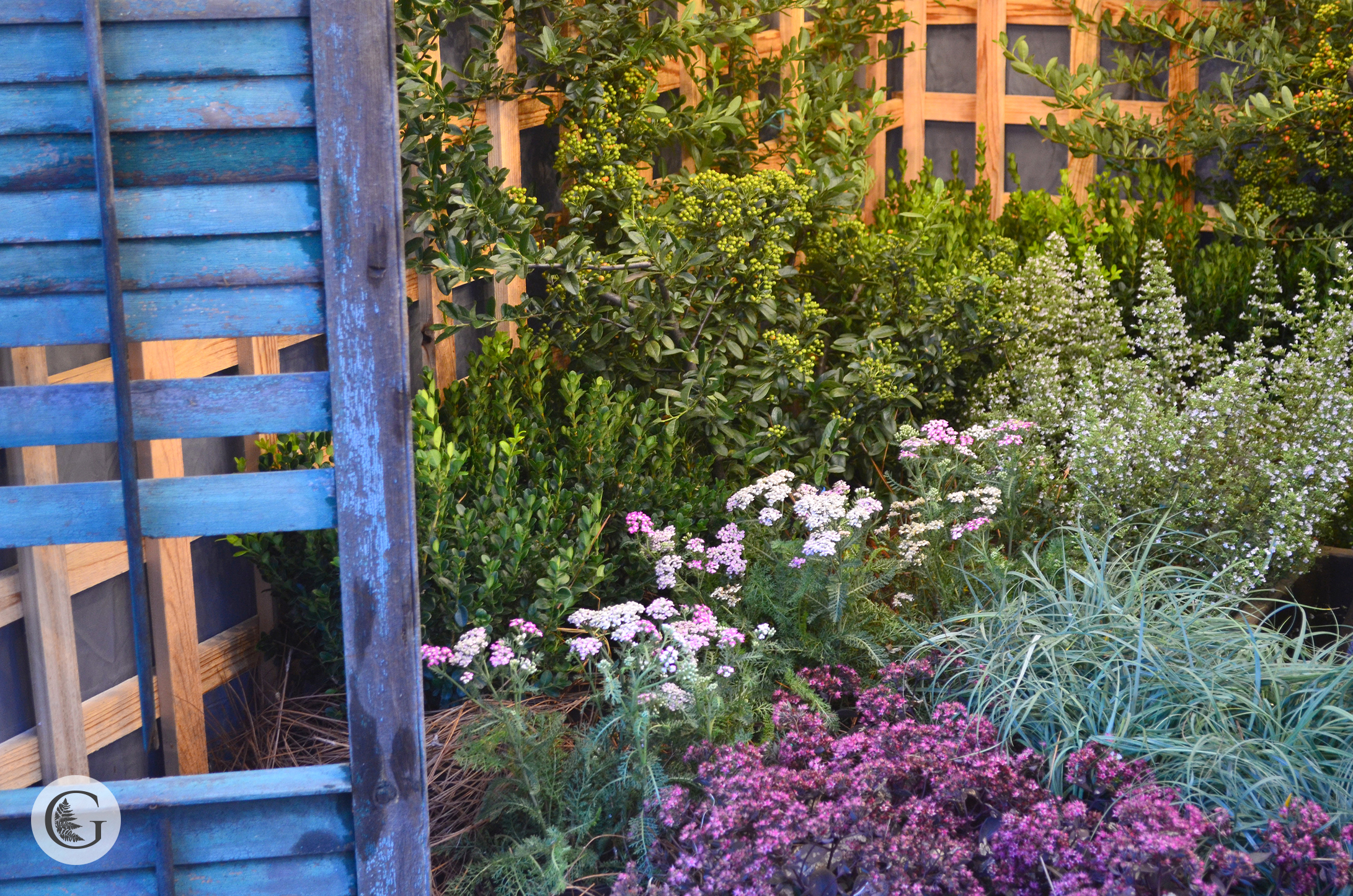 Mush Fest 2019 shutter and plants.jpg