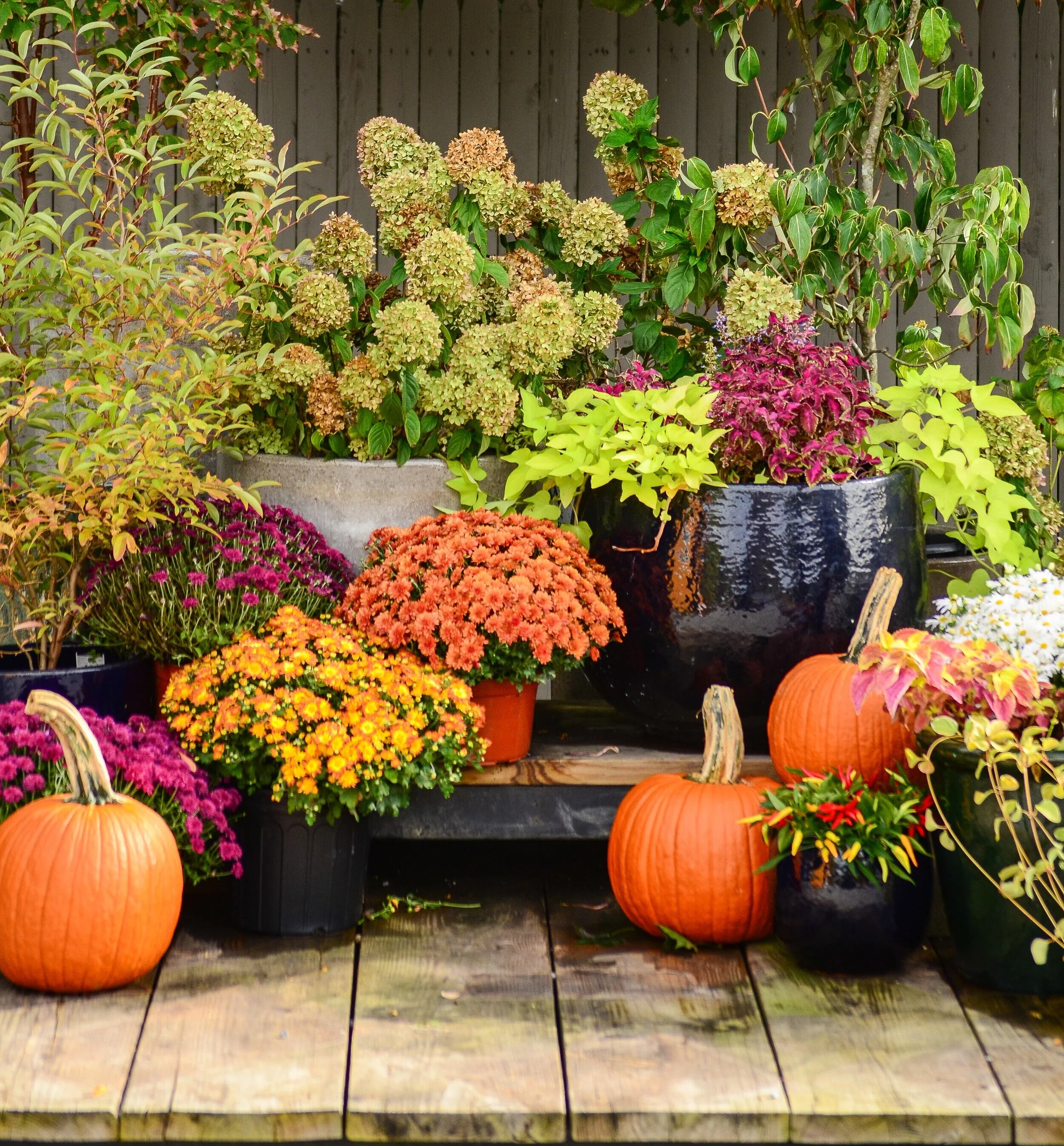 October | Fall Curb Appeal