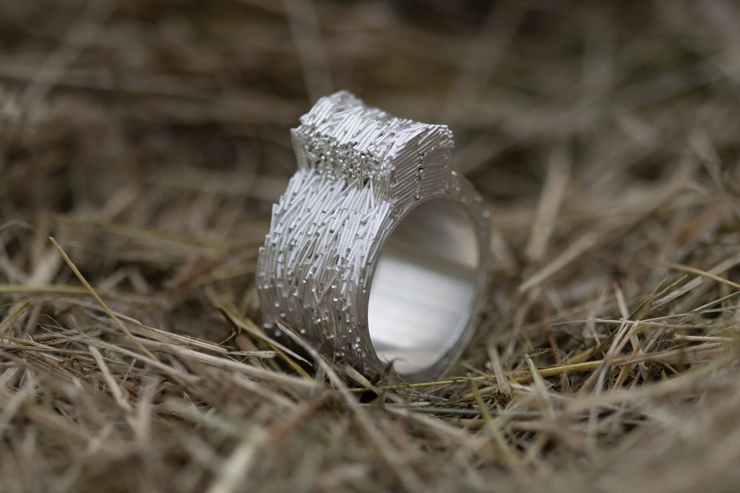 field clippings ring_4 (1).jpg