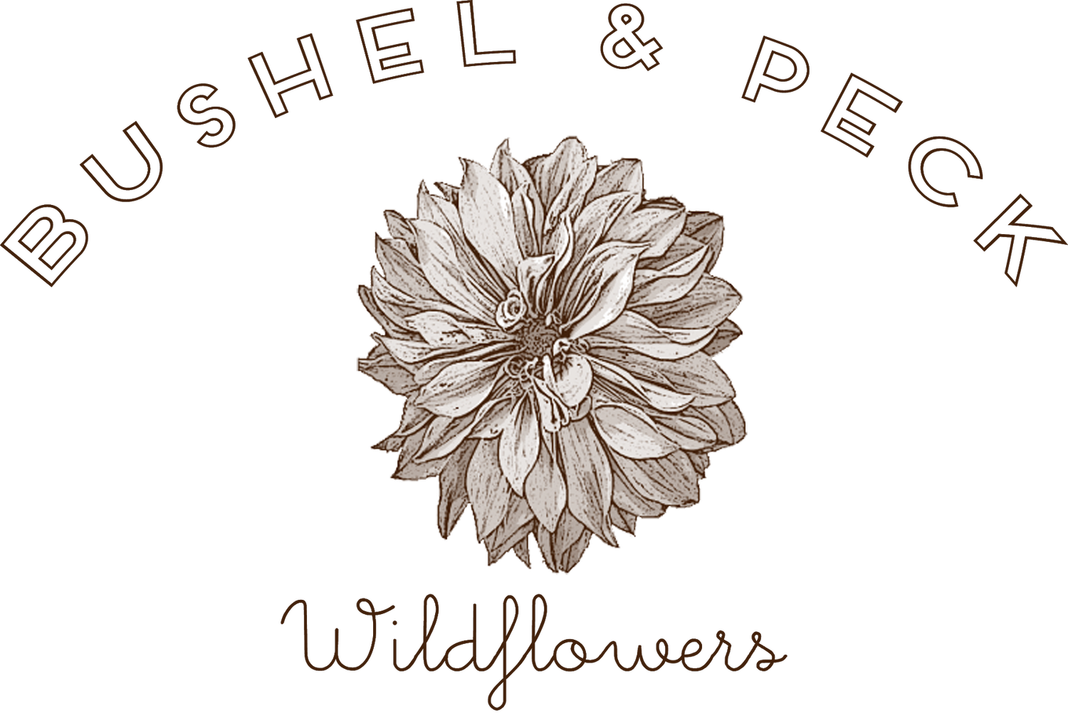 Shop — Bushel and Peck Wildflowers