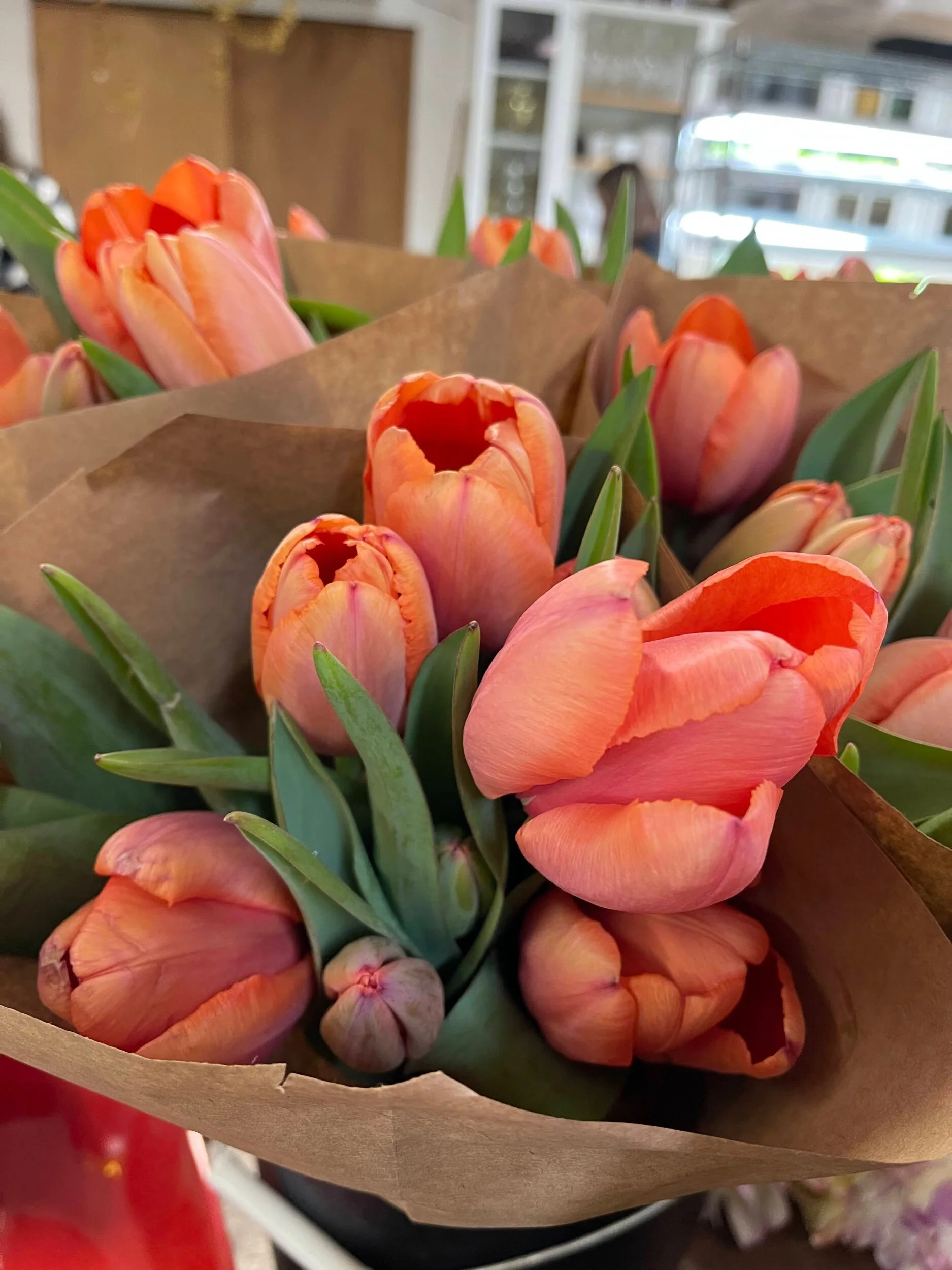 0EF120BC-7420-41C0-815E-28CEDA050DC4