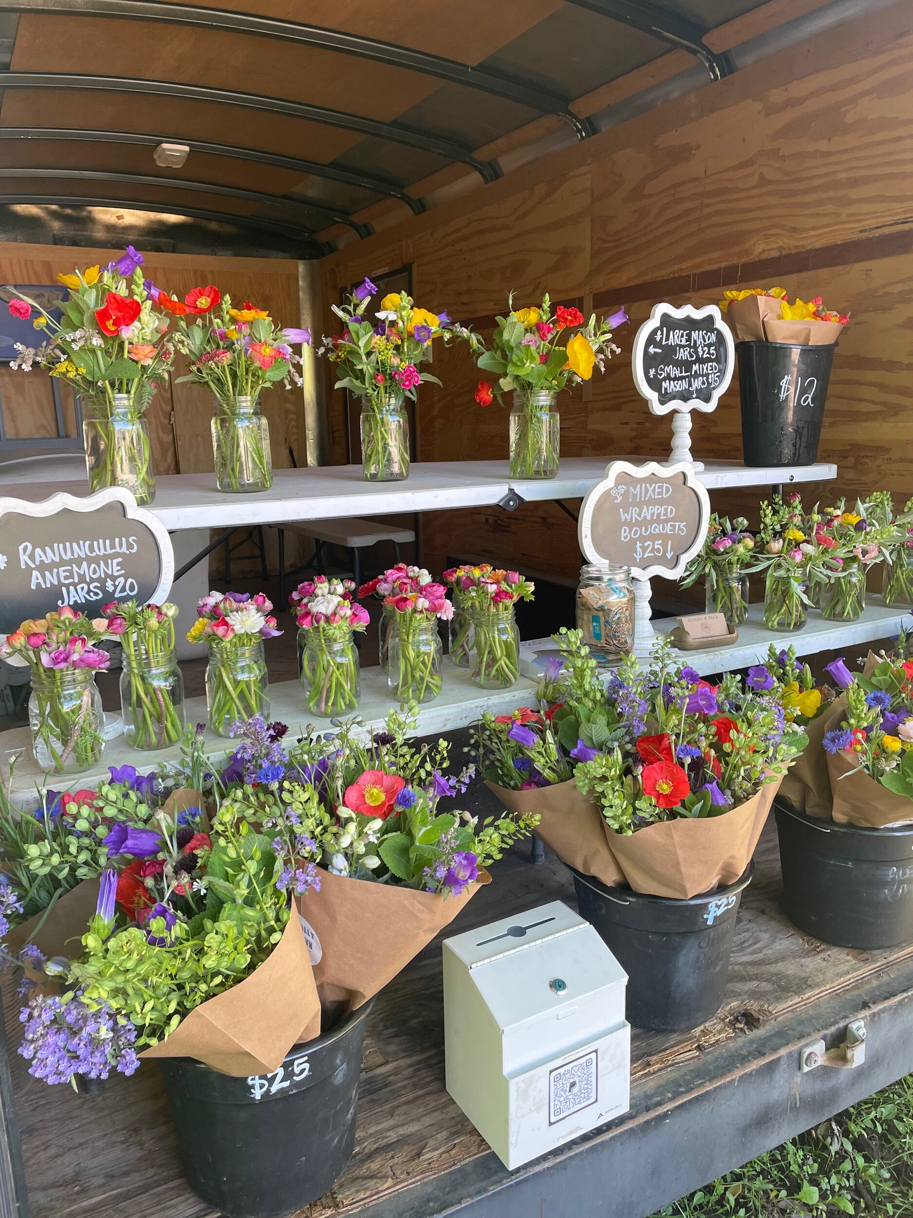 2AA42738-90D5-4D65-A063-7B34427D20F7