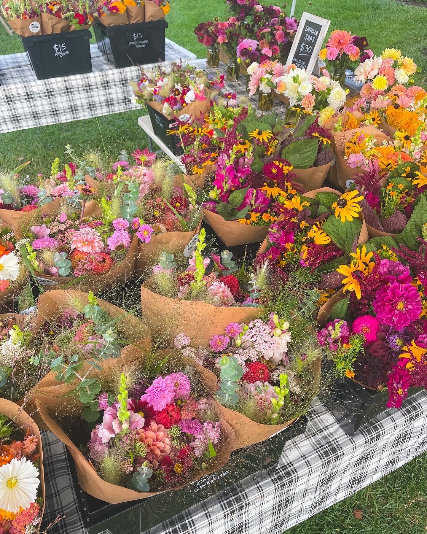 AD760703-4C15-4E0F-8267-E59612C89DB5