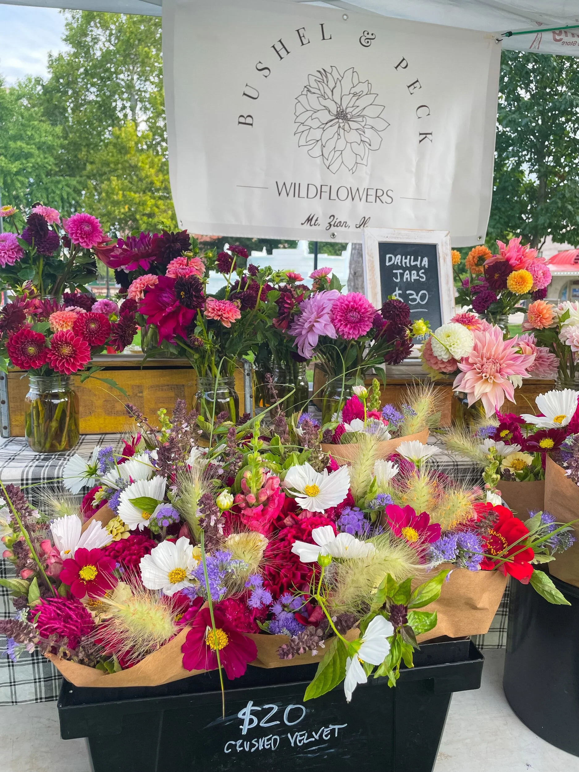 BD3528CB-ABD1-4BB4-82A0-B9B4AF93EEF6