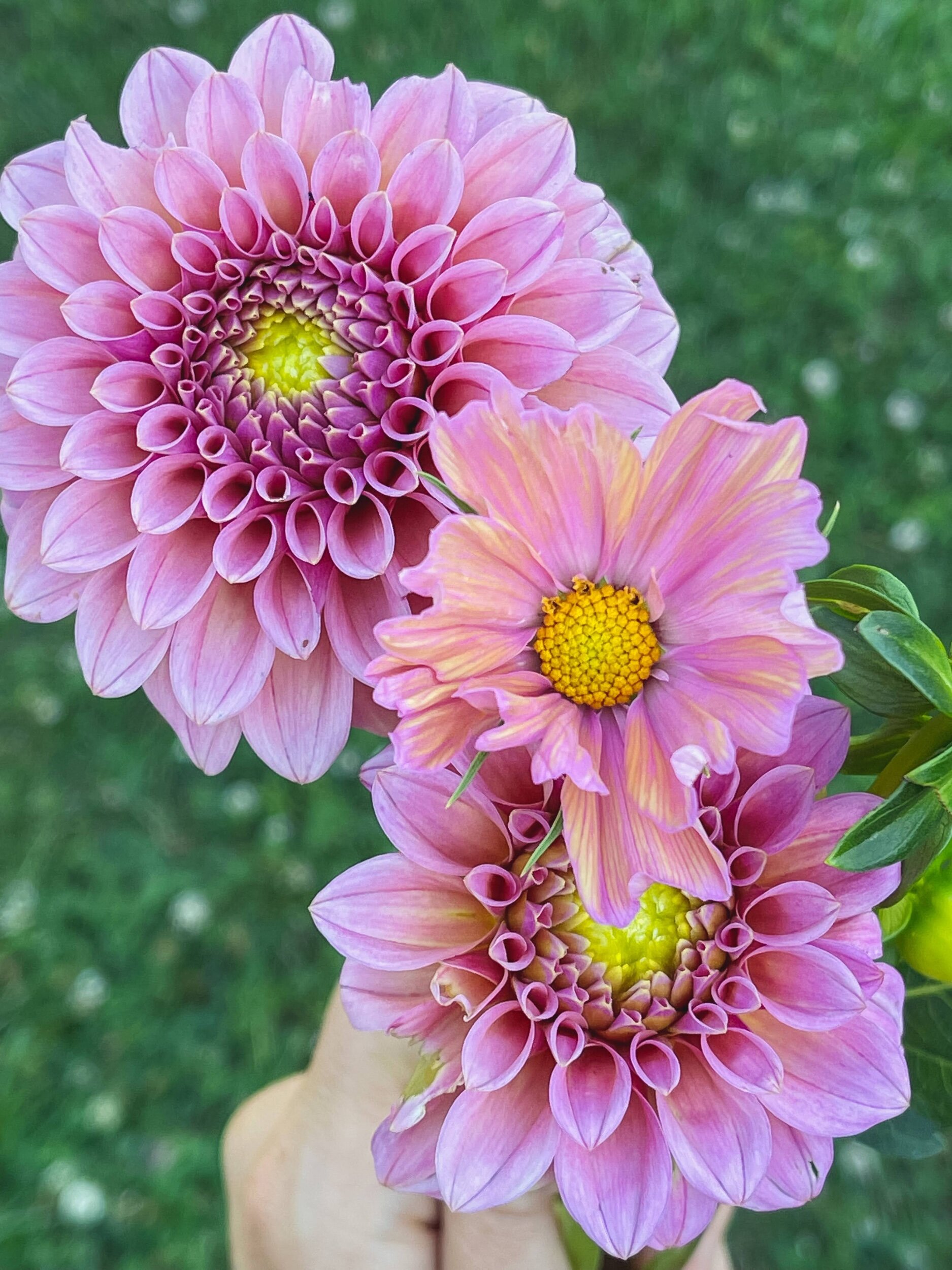 D518FC2B-2094-4A57-951A-647389578614