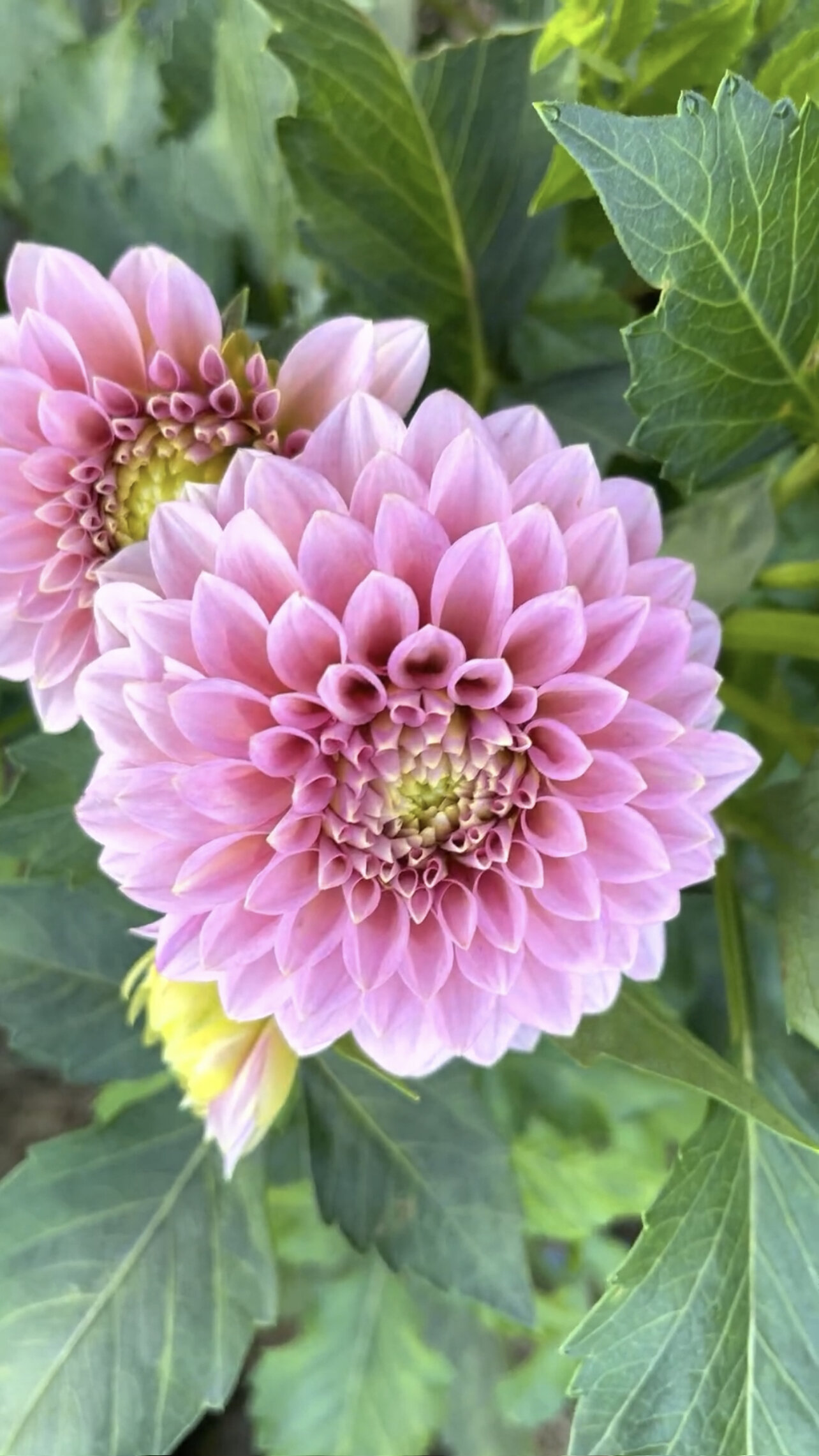 5134192D-5496-4054-9ECD-15A5604A6114