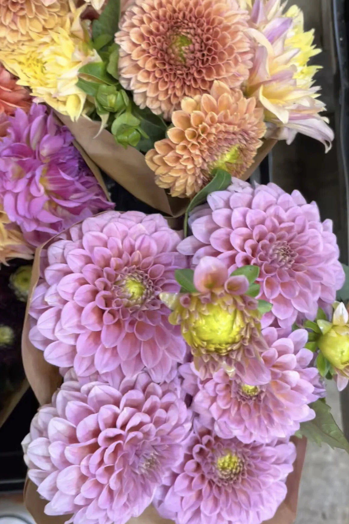 CBB25F20-E24D-4976-B091-560573A448B1