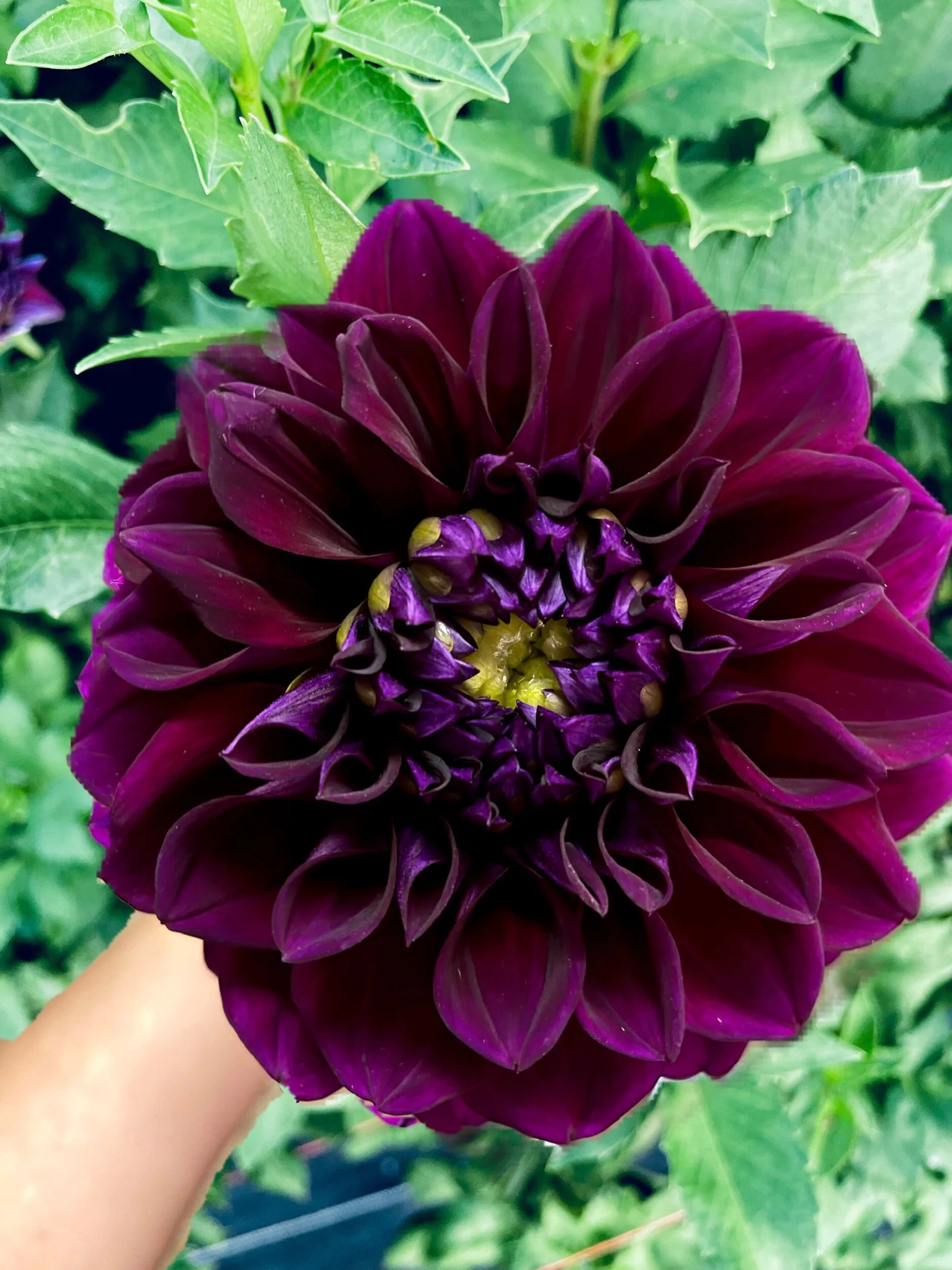 AB3BF8BB-9E69-40F1-990A-B6958BCF6A33