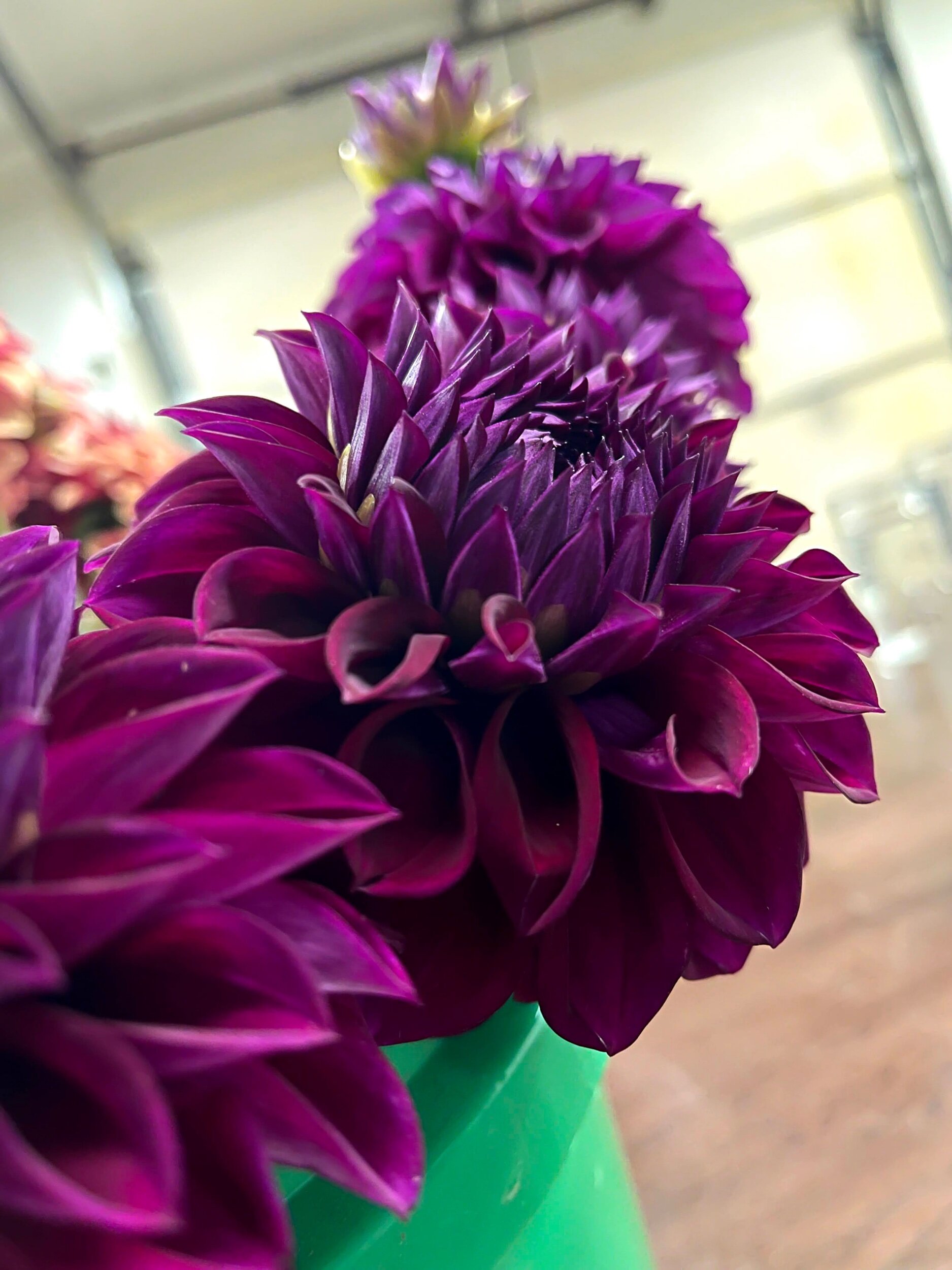 8755E8A8-F077-4CCA-9829-32DEE4F9EE09