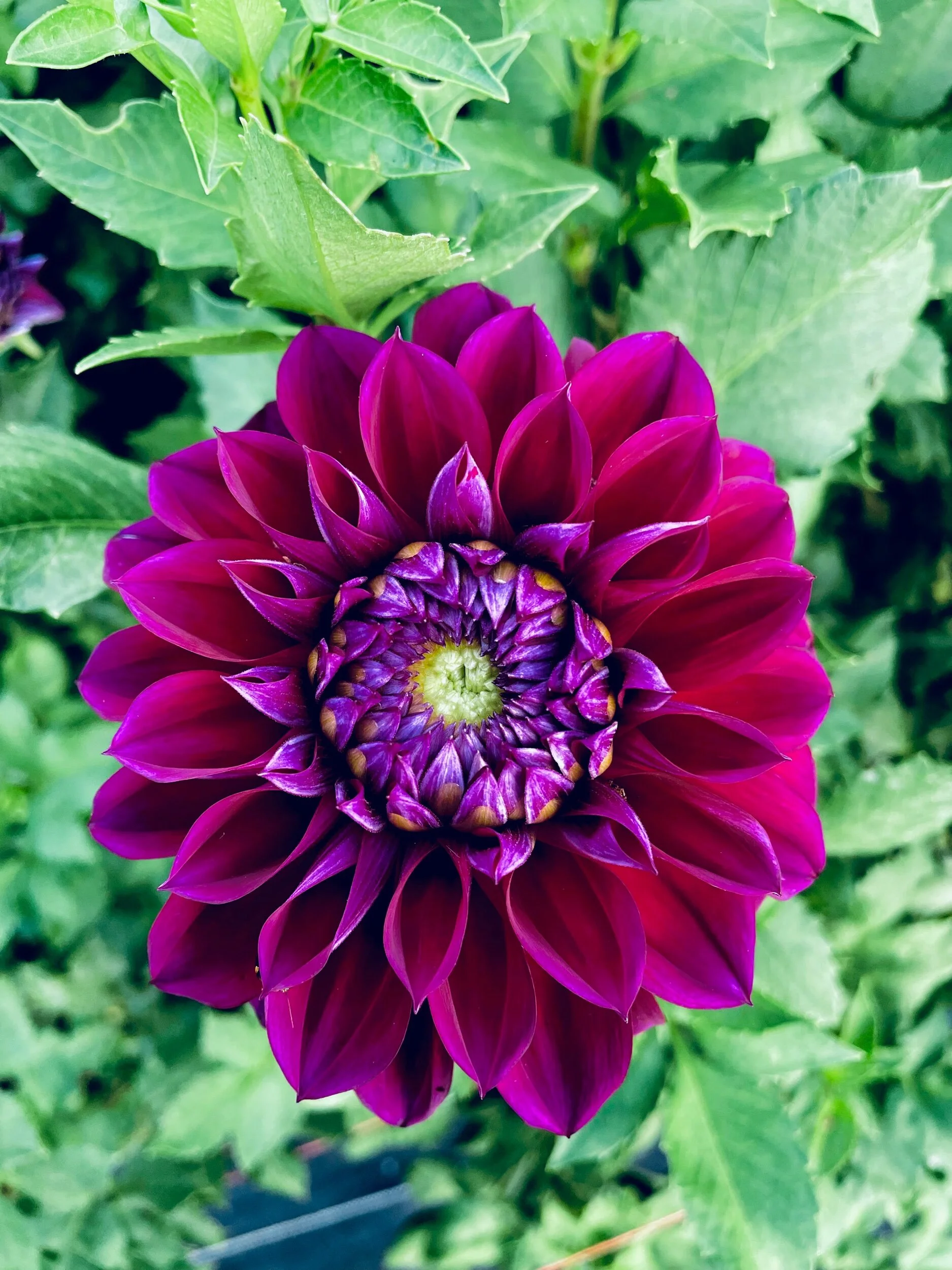 50DC7B29-9186-4CD7-88BE-A61FCA01C8E1