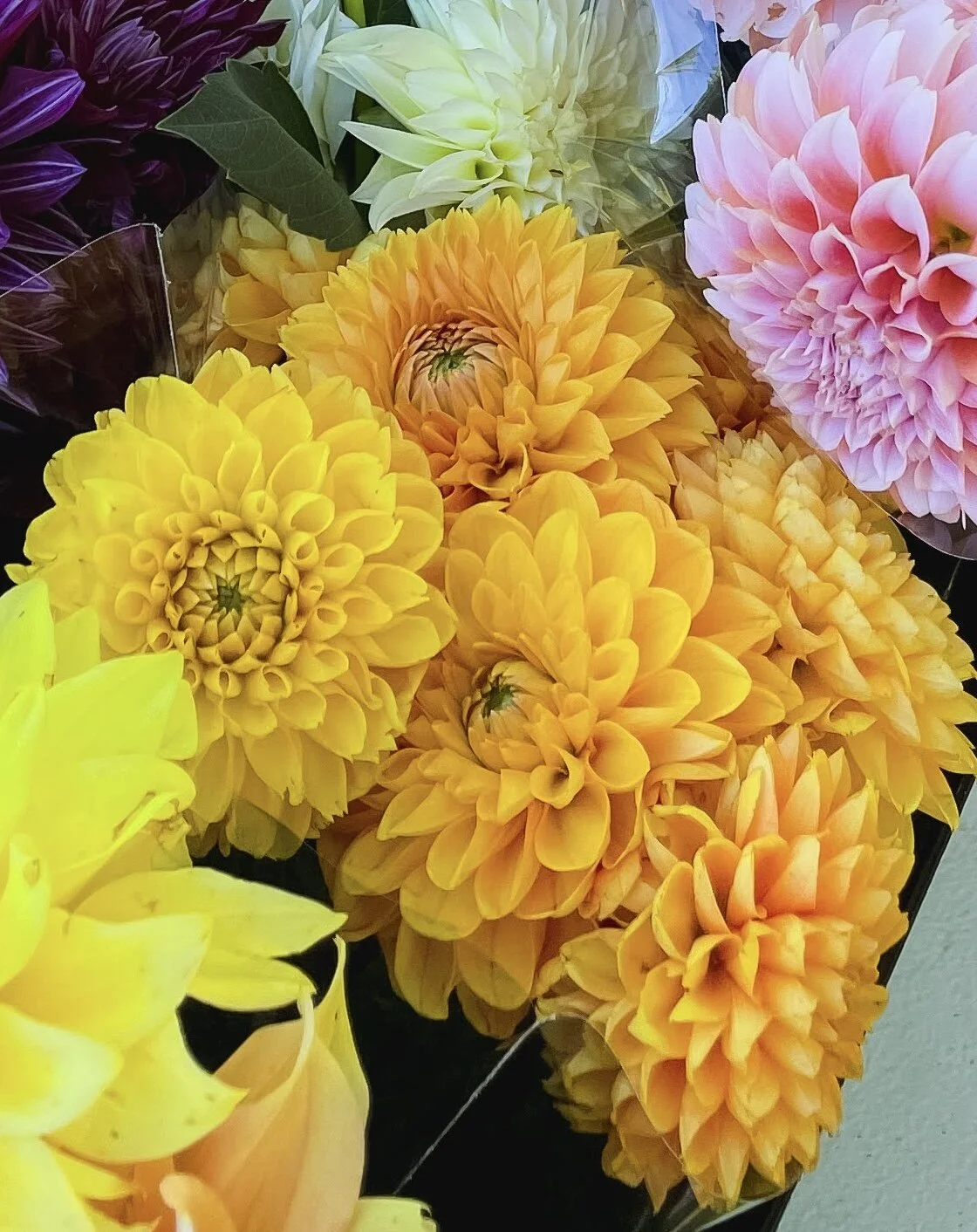 E09F8FAC-627F-4E72-A454-7FE000F7273D