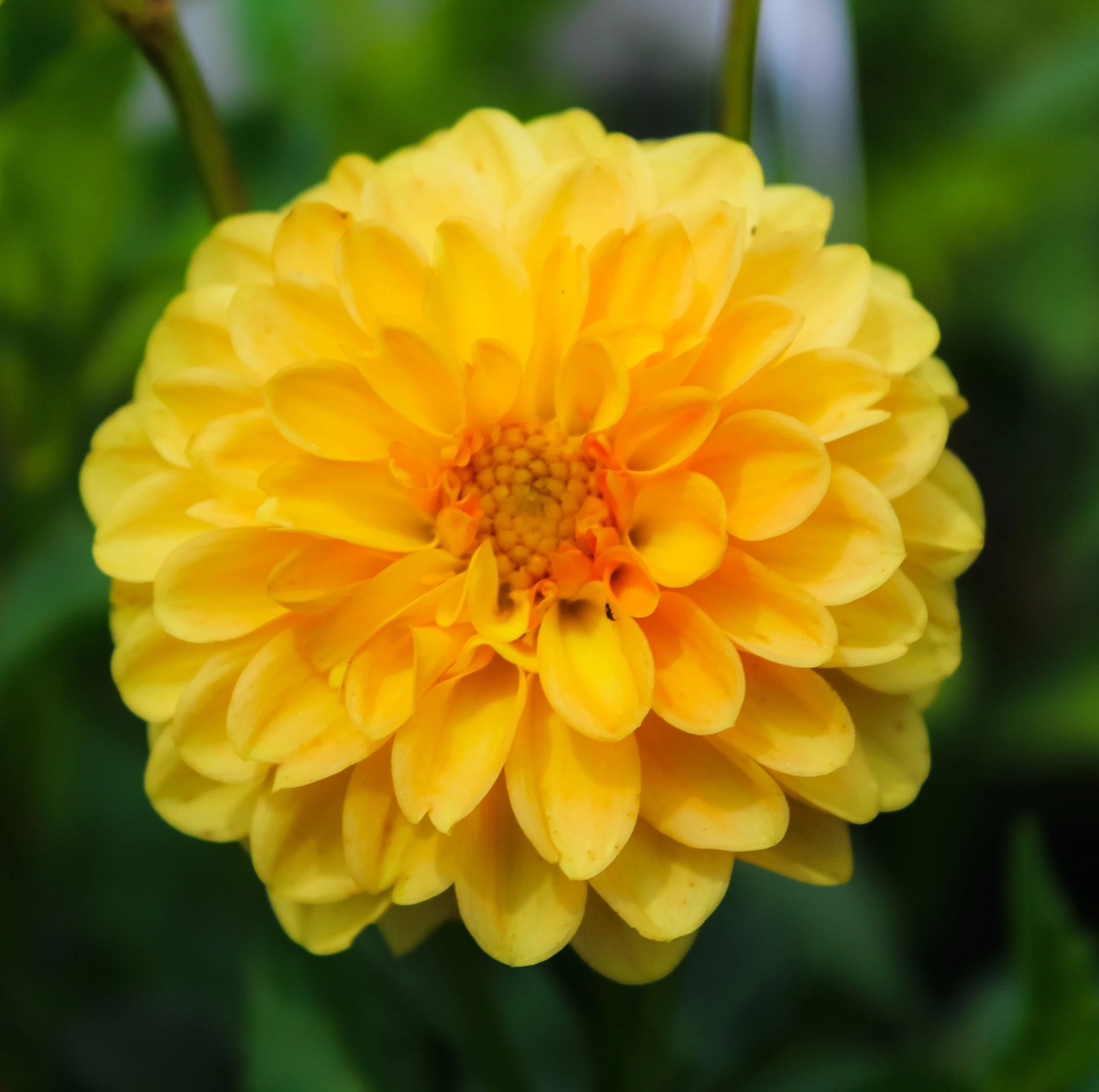 D8694E9F-444B-4536-8A48-FD9D05EAB32F