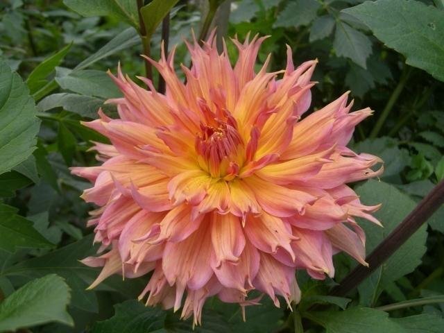 0E5DB38E-D7A2-4950-B1C1-25B1E9192F44