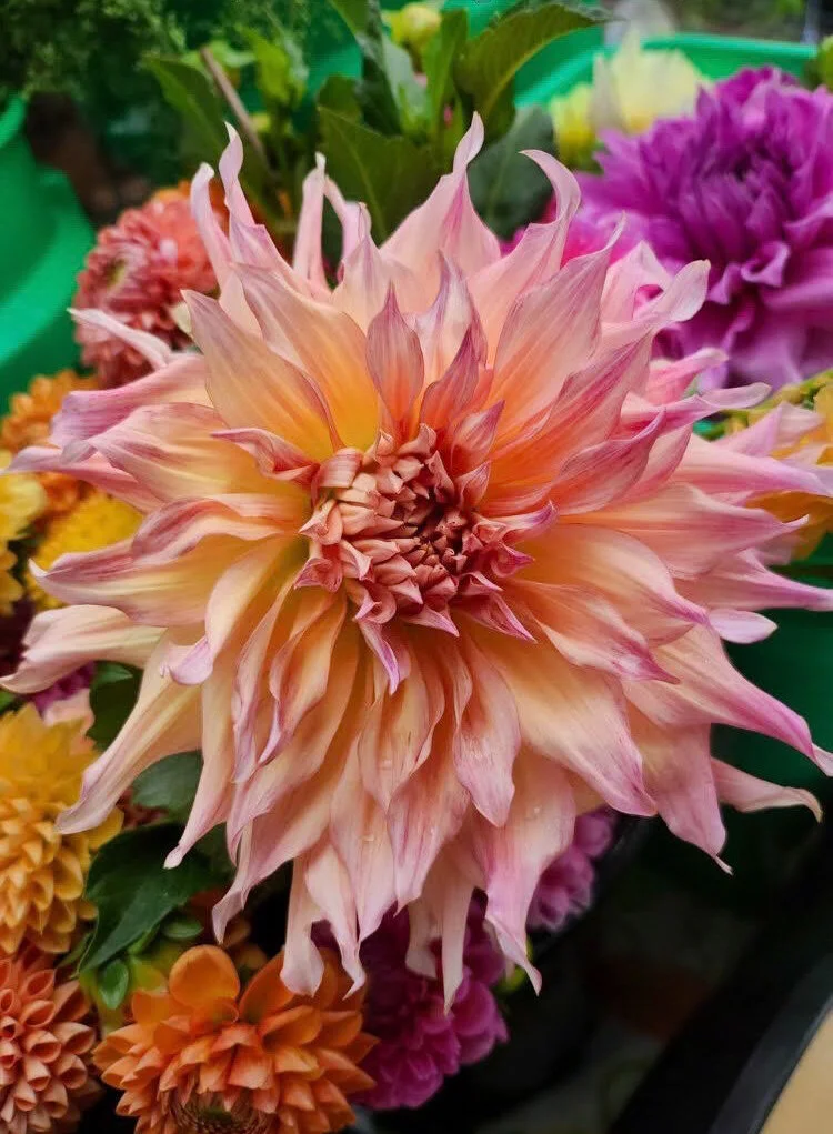 4C81F856-F718-438D-AC6C-00BC3EB26374