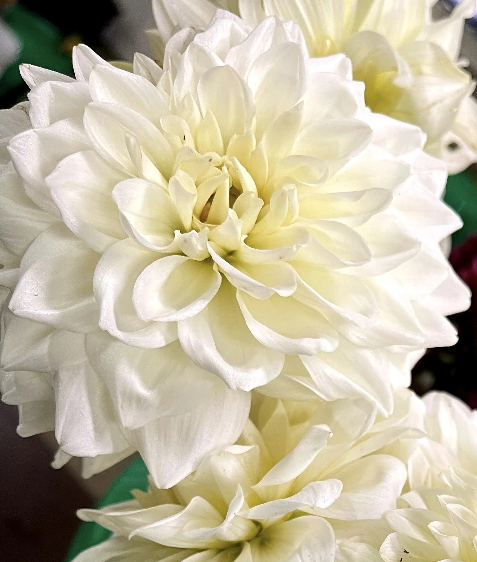 30A6D65C-553C-4632-B6E6-9760FECDFE23