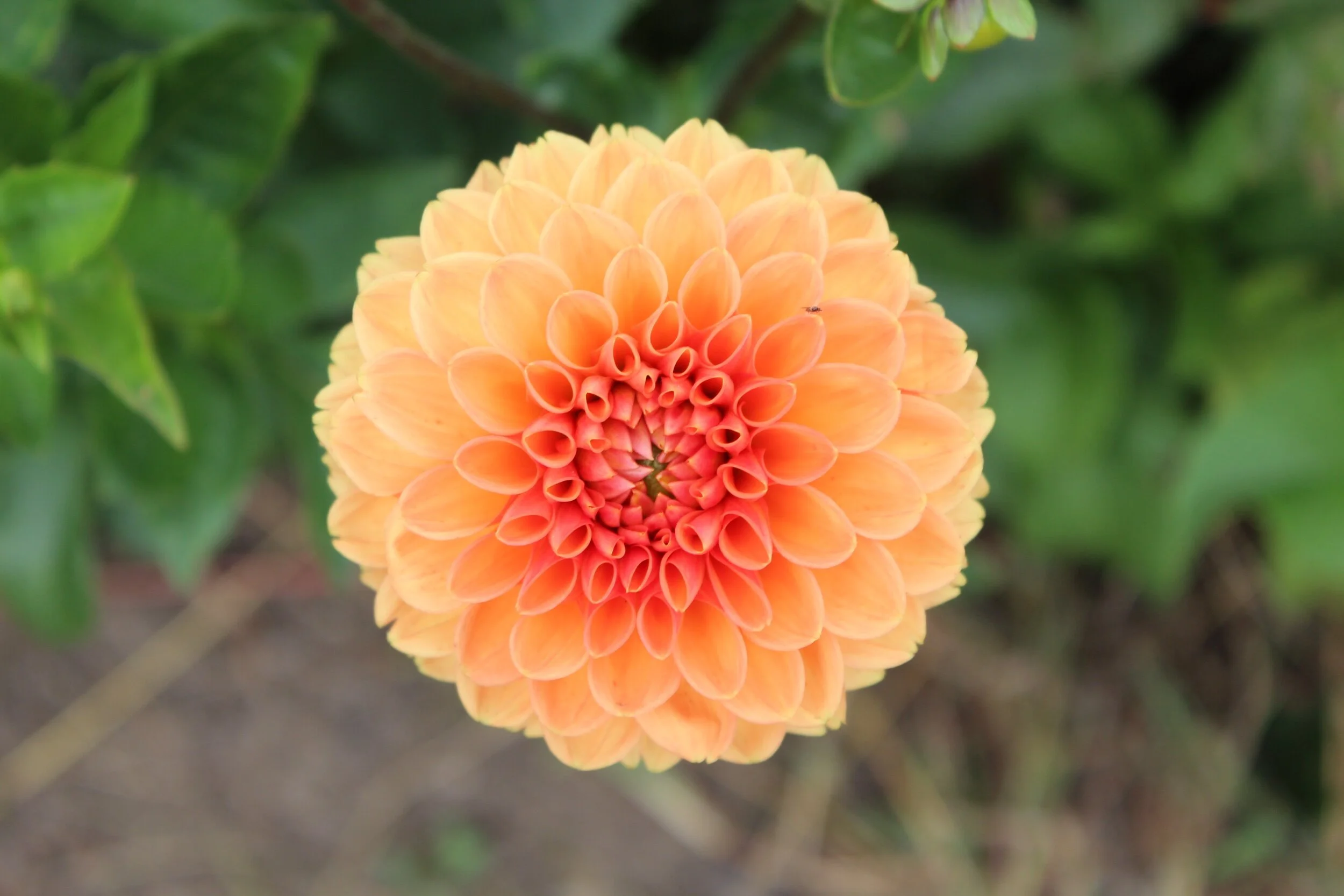 68FAB63C-8106-46CE-B8A7-ECD9F99753D8