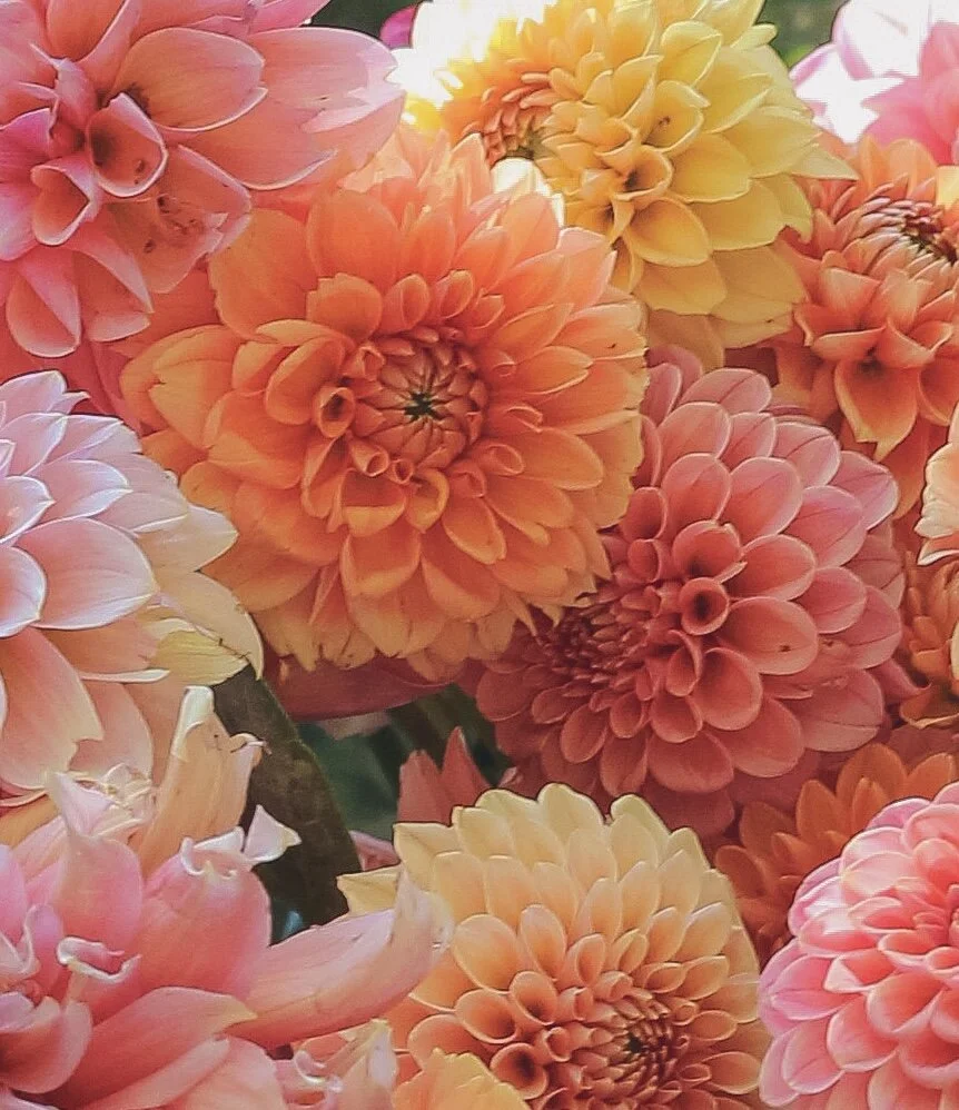 A6A5E12B-36E4-4980-81F3-8A5DB6BE469C