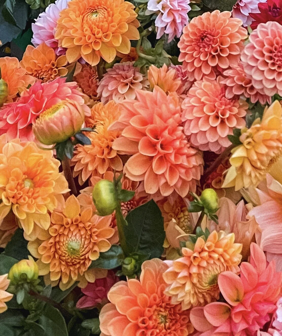 4F59322B-A742-46BA-9AD4-19B3437D1E53