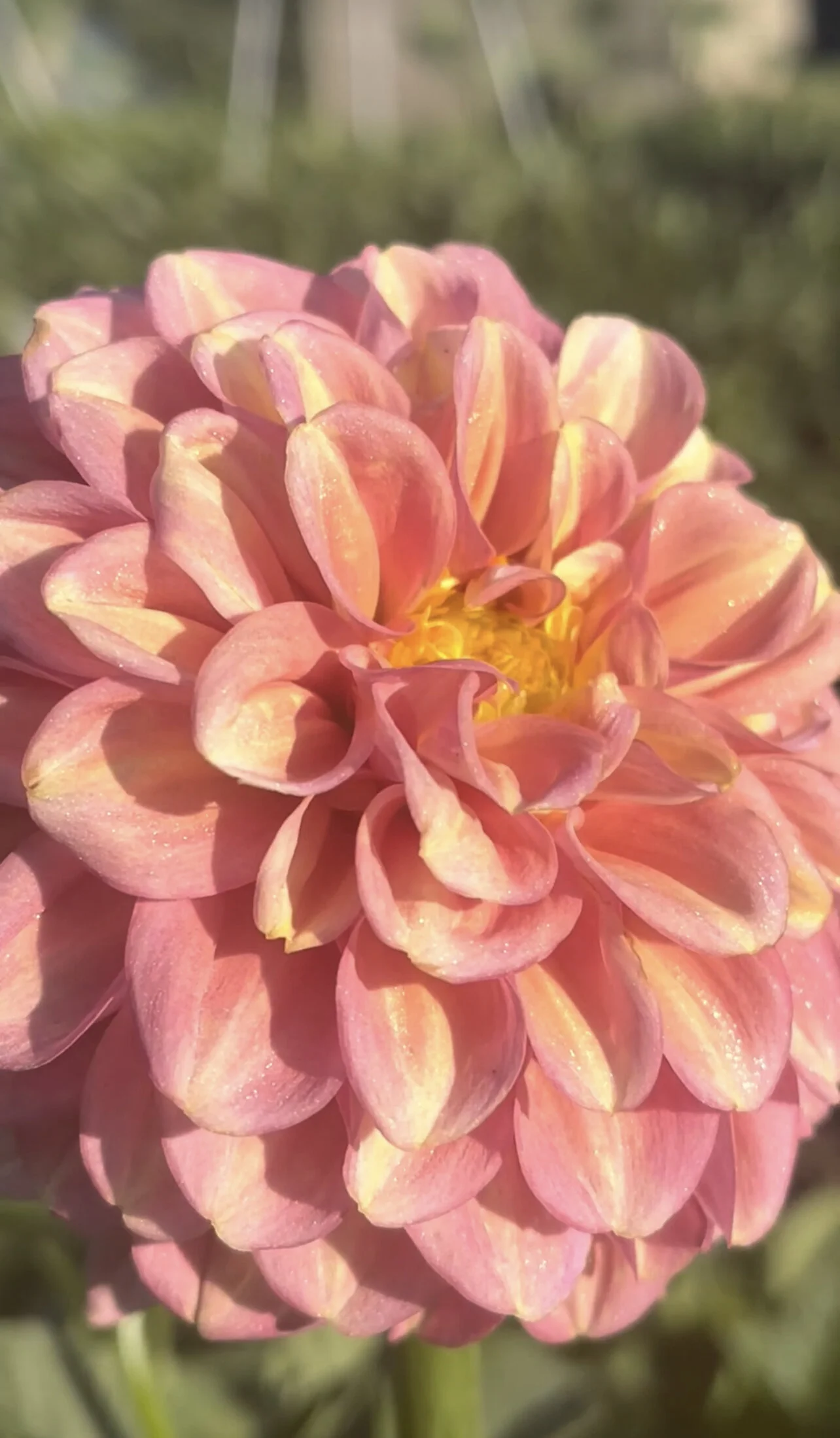 6F26F767-FA75-4E25-B588-0E17F5650AD5