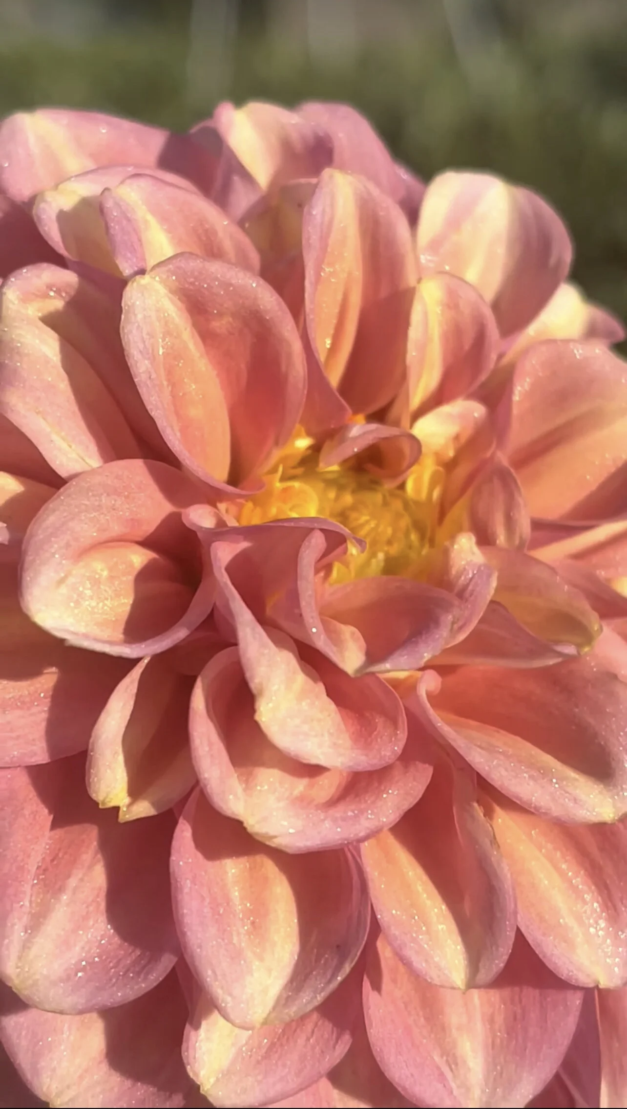 D59CFA32-B463-4698-9C92-9EFF62AC9A9F