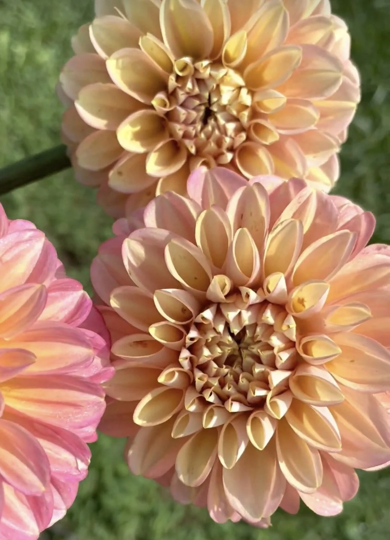 7CC48BD2-7913-4293-83D8-B7FB446449F6