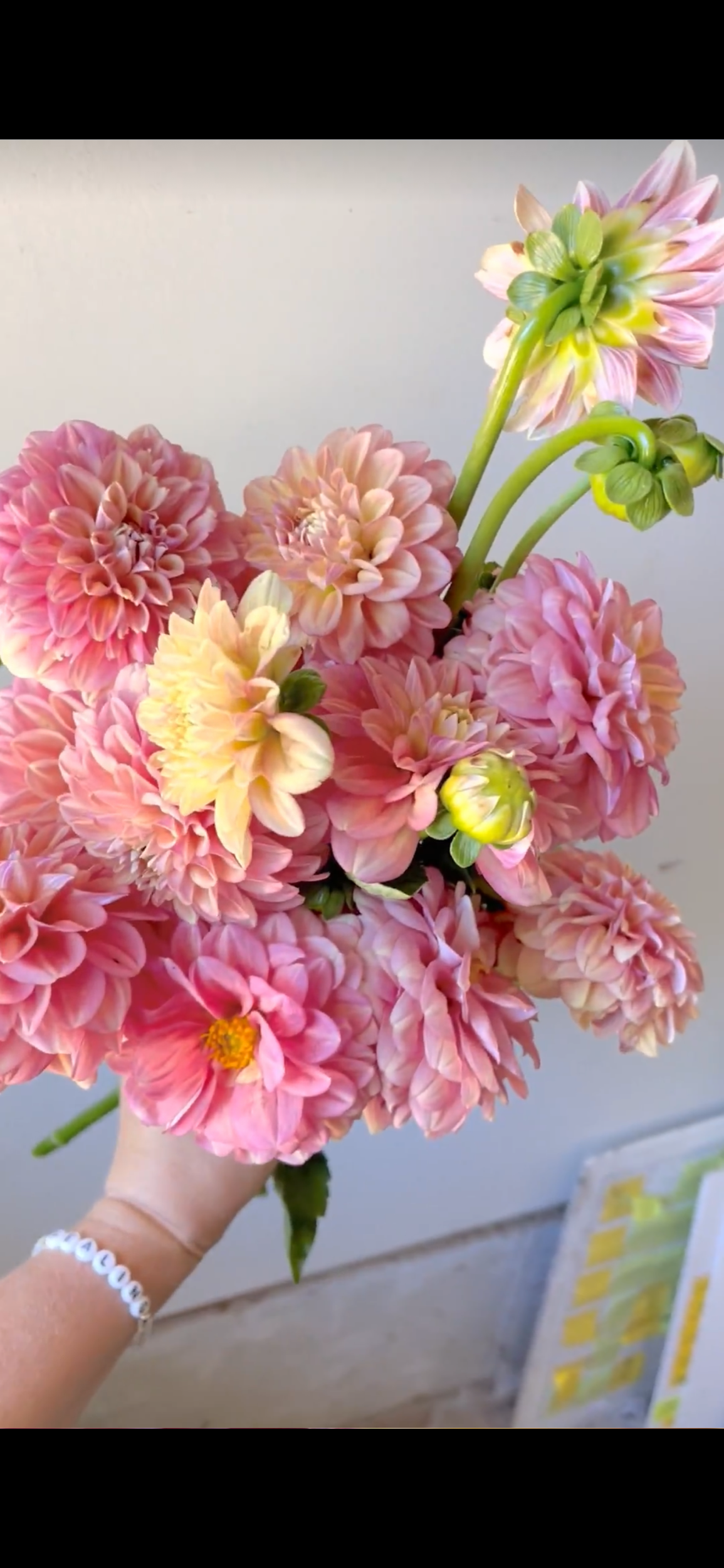 F7DDB623-D6A3-4946-B737-9F3C463698EF