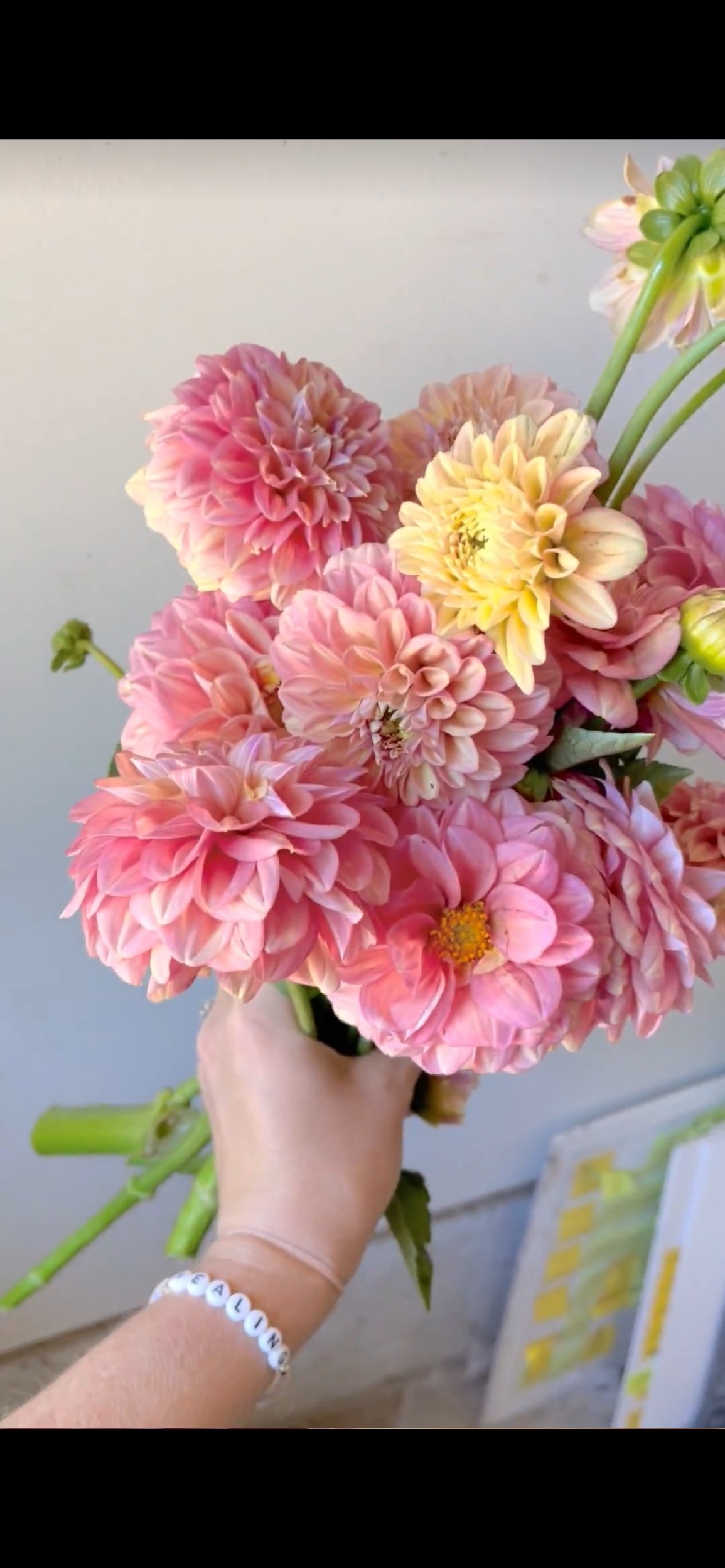 4441FA3A-1F6A-4E51-8C4C-746A5F5C0FF0