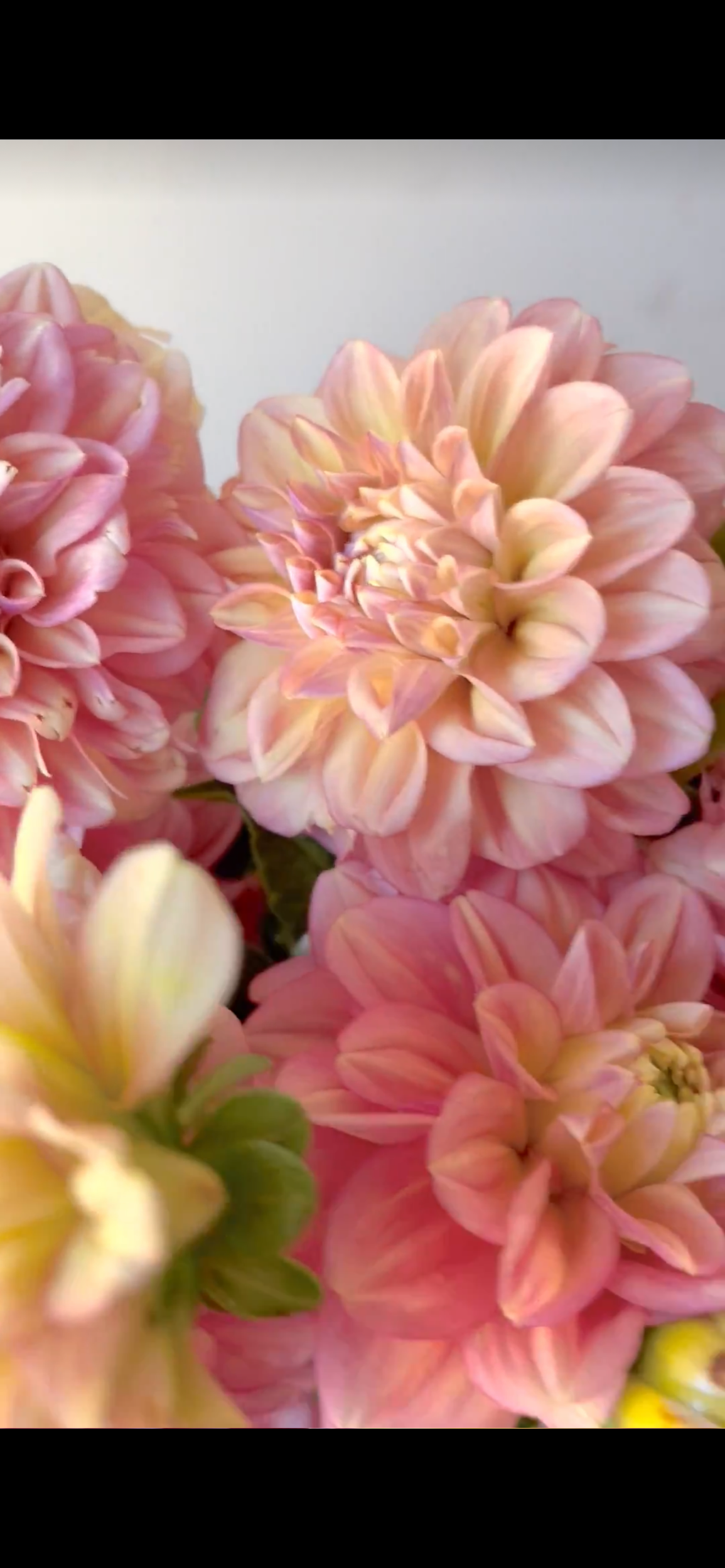 25492F5E-3CC7-4207-B905-2BF1E3DBD4AD