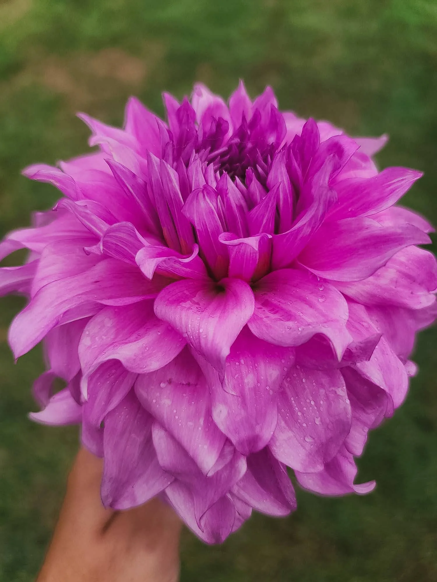 29BAB65A-E03A-4B78-B748-C0E77B11F319