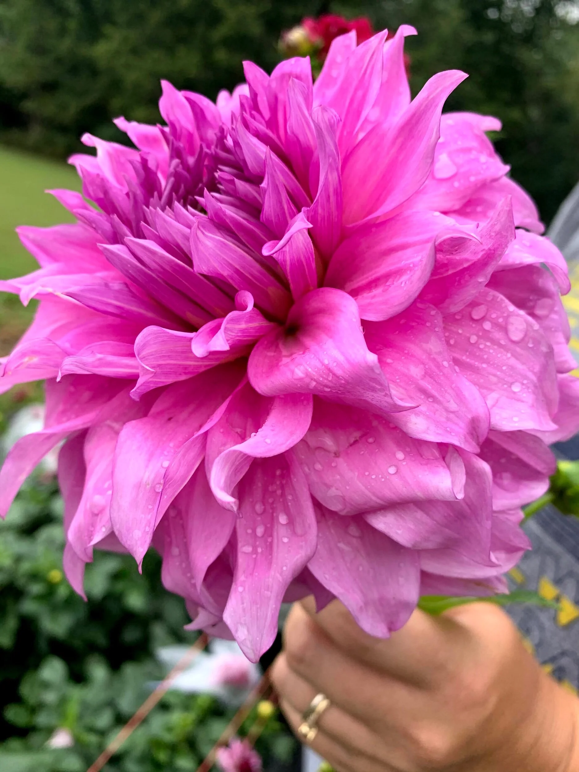 99C2FE7E-9638-4D40-8024-6B35F7D96236