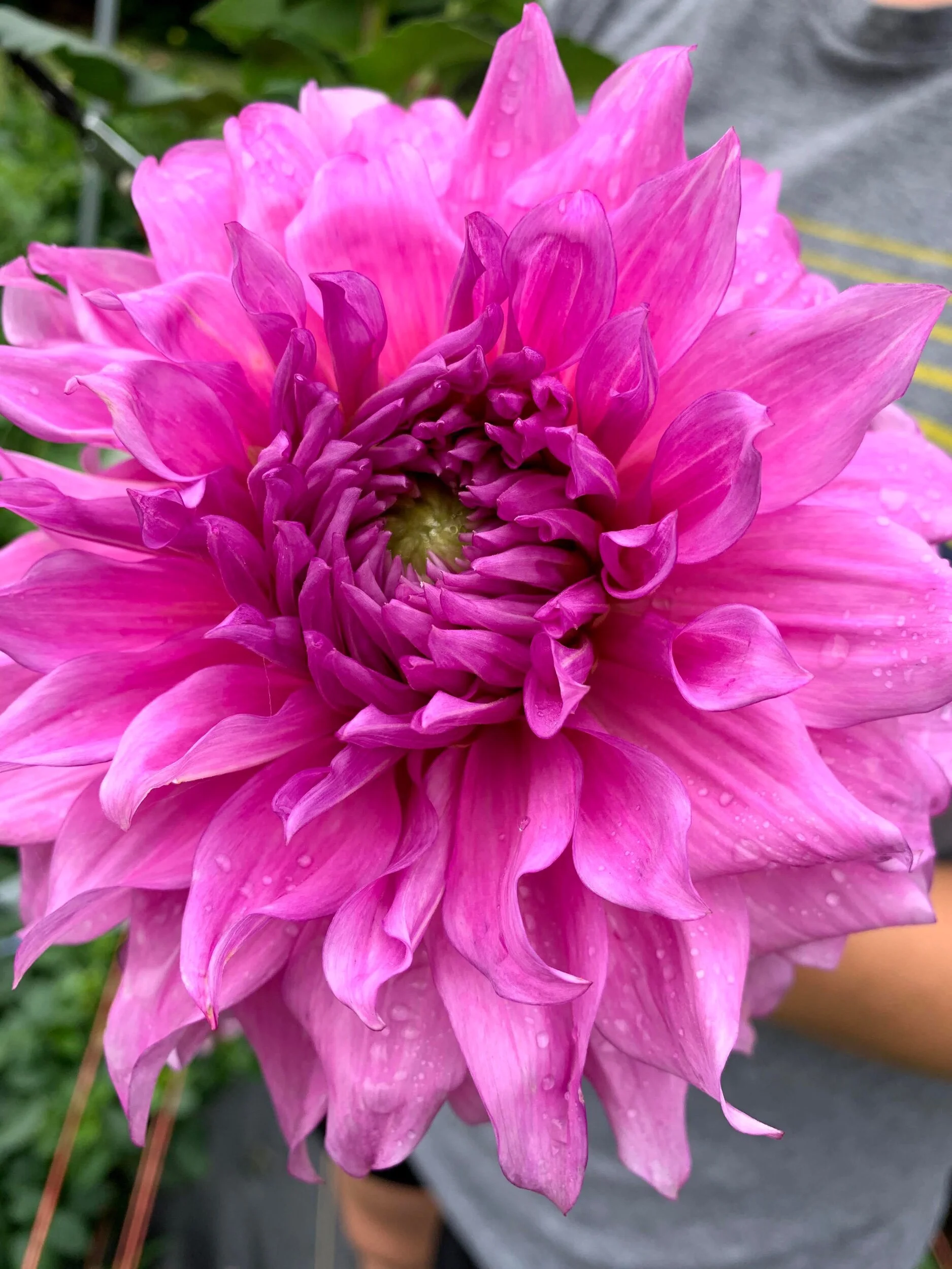 E9F6A3E7-4CCF-442A-AD14-4B67E2770FEF