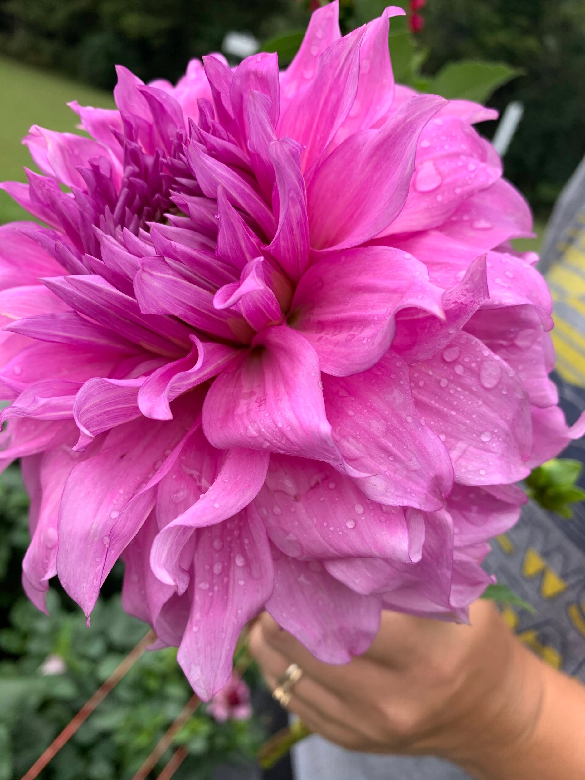 5F0790A0-96EC-41A2-A82C-B8EDAB455054