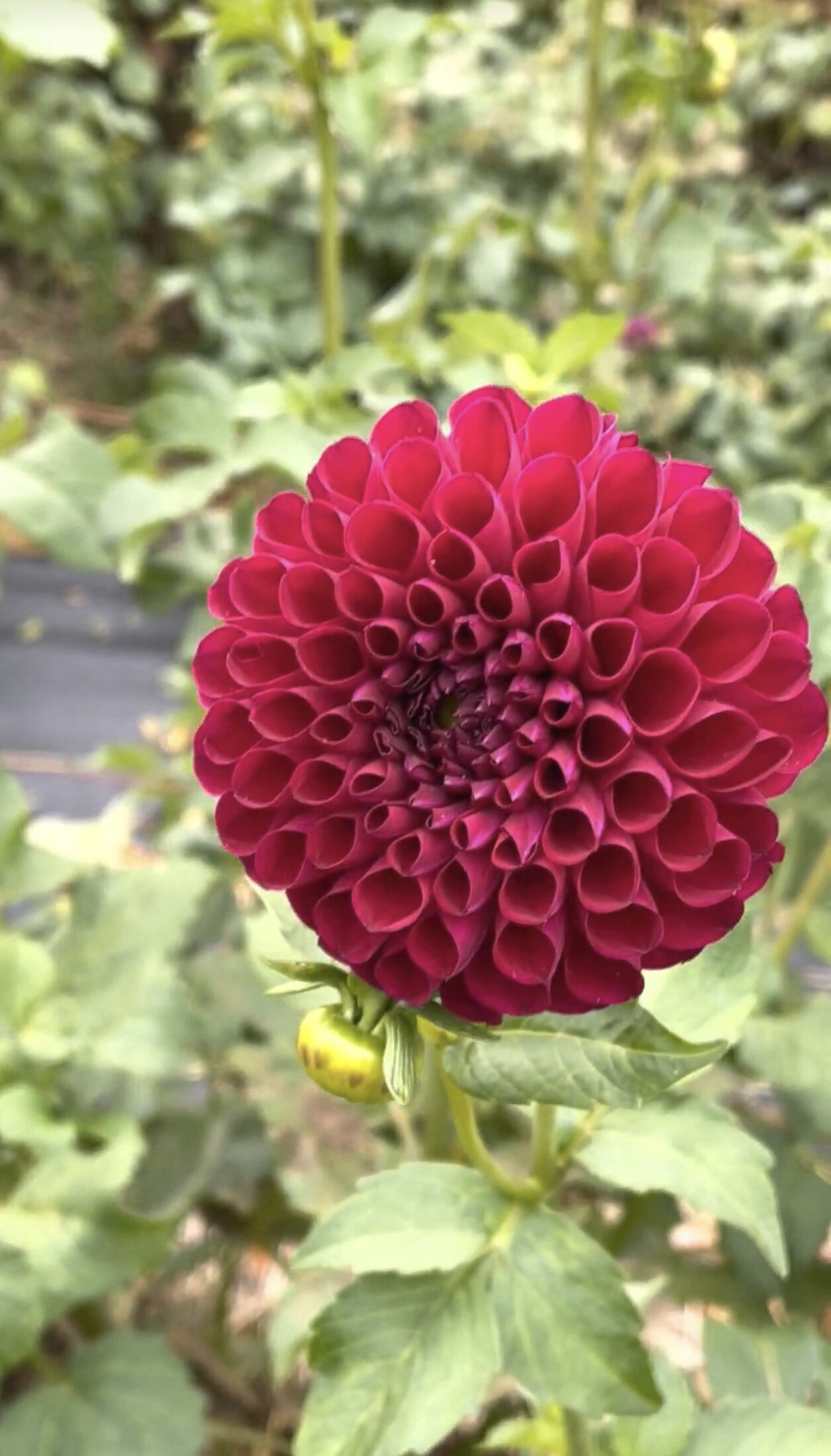 9998B316-AD28-4FFB-B3E1-82C68D5E0F79