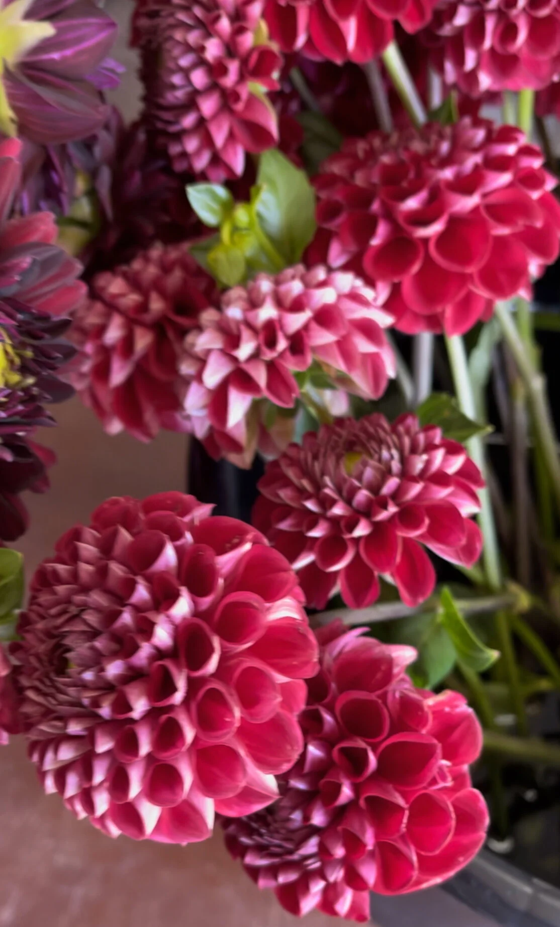 DE0F0D13-1F61-41A9-92D6-B1402BC66850