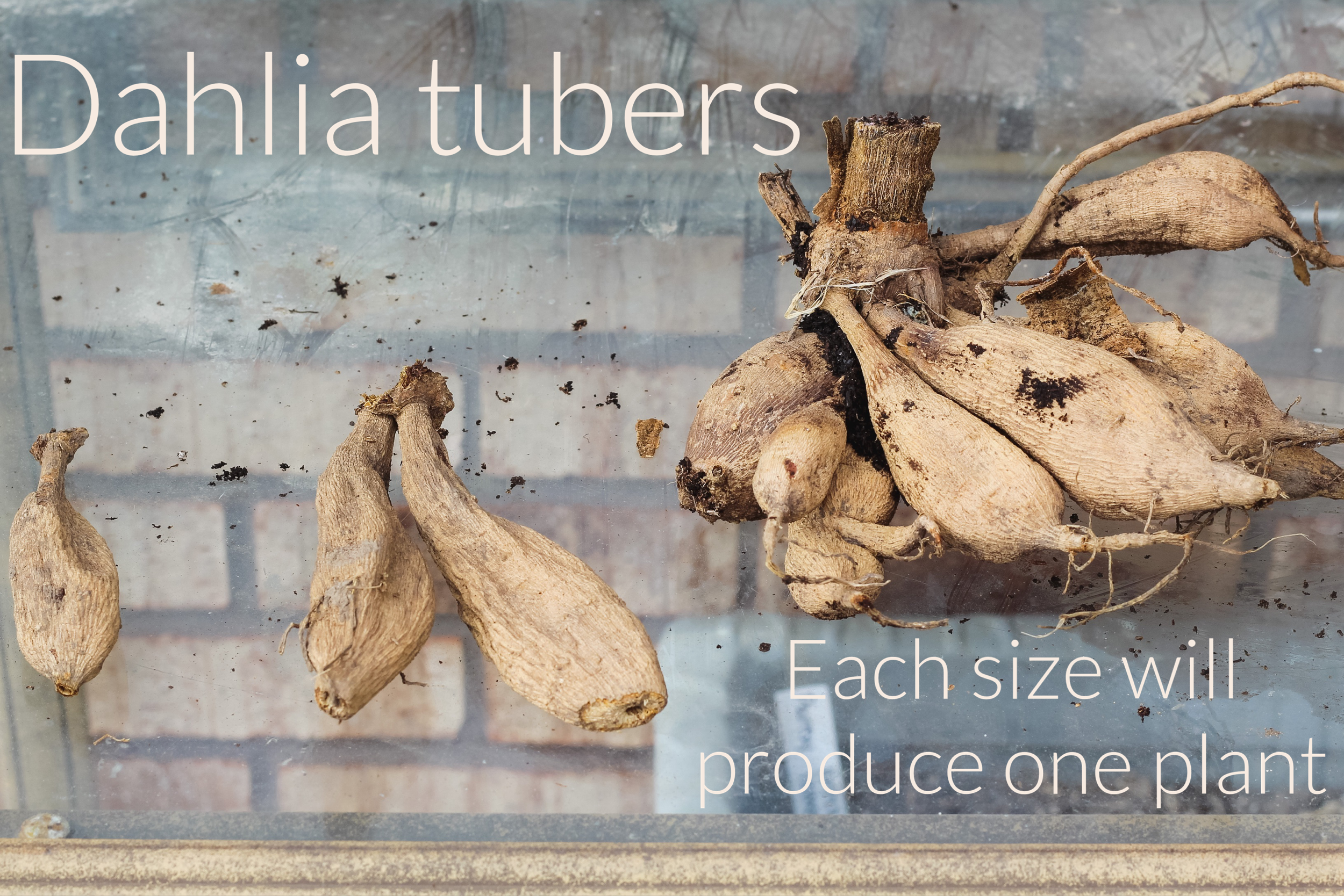 9A4282B8-1B9A-4B9F-BDE8-F1364B4D7688