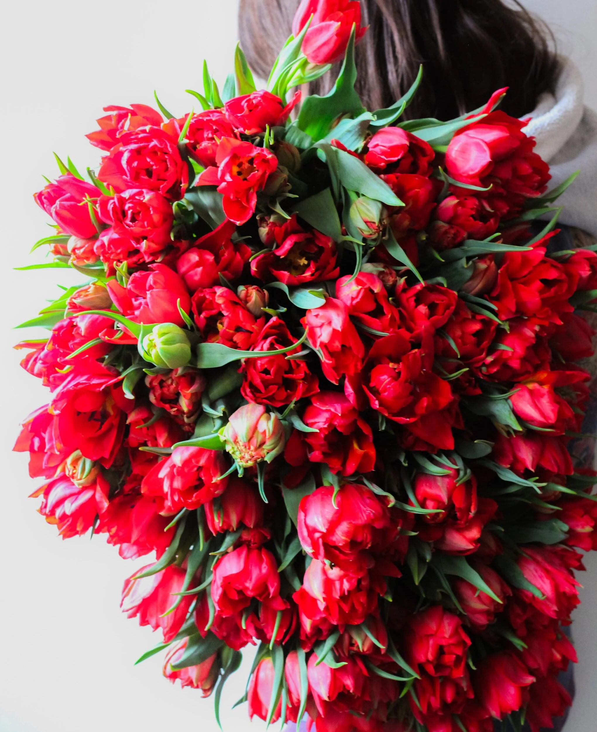 4E6B8447-55DB-4DEB-8DE3-82F410F55A14