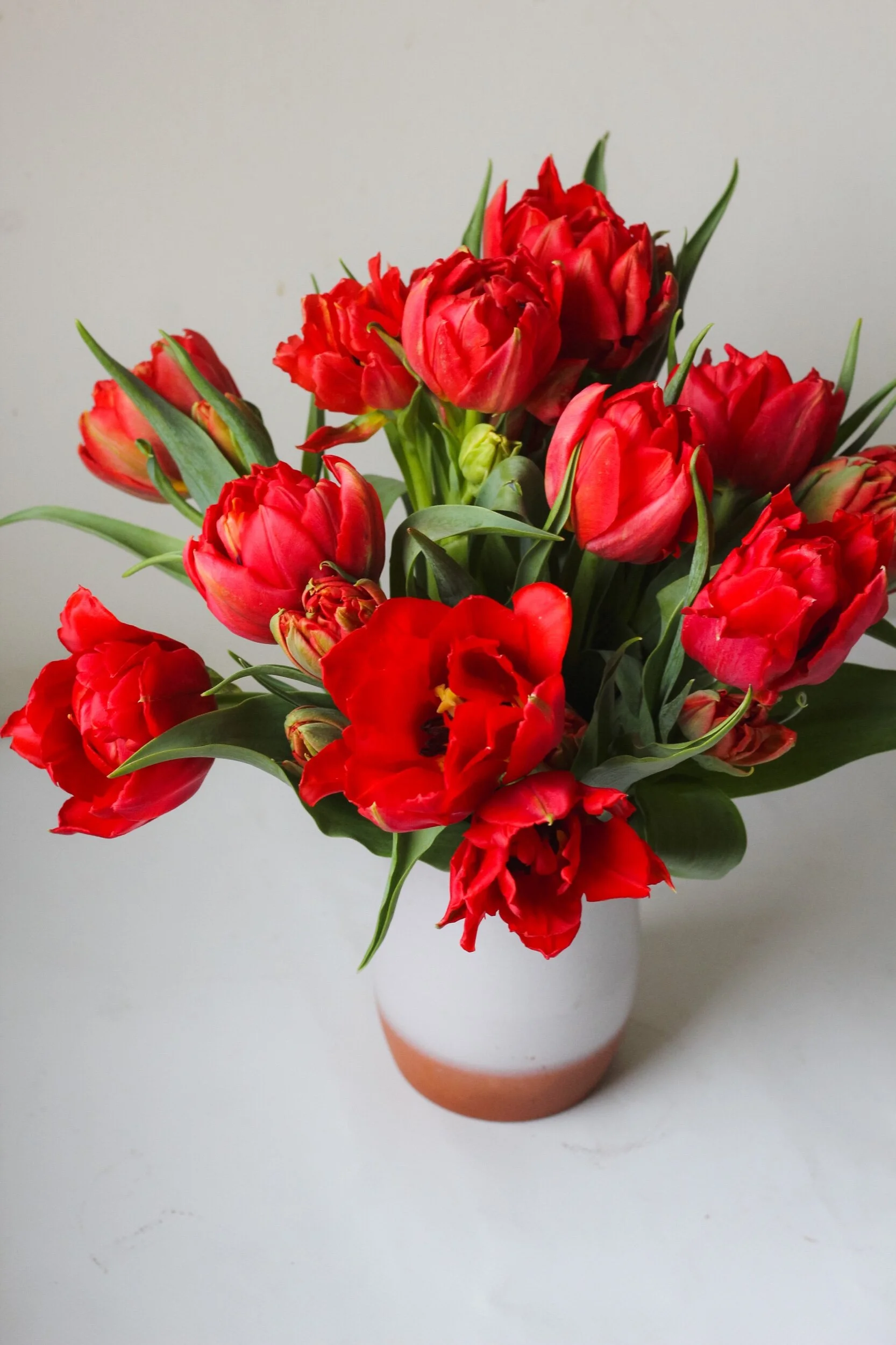 AC5B98CB-BA28-4F4D-AFD7-E1C1DB0F78C4