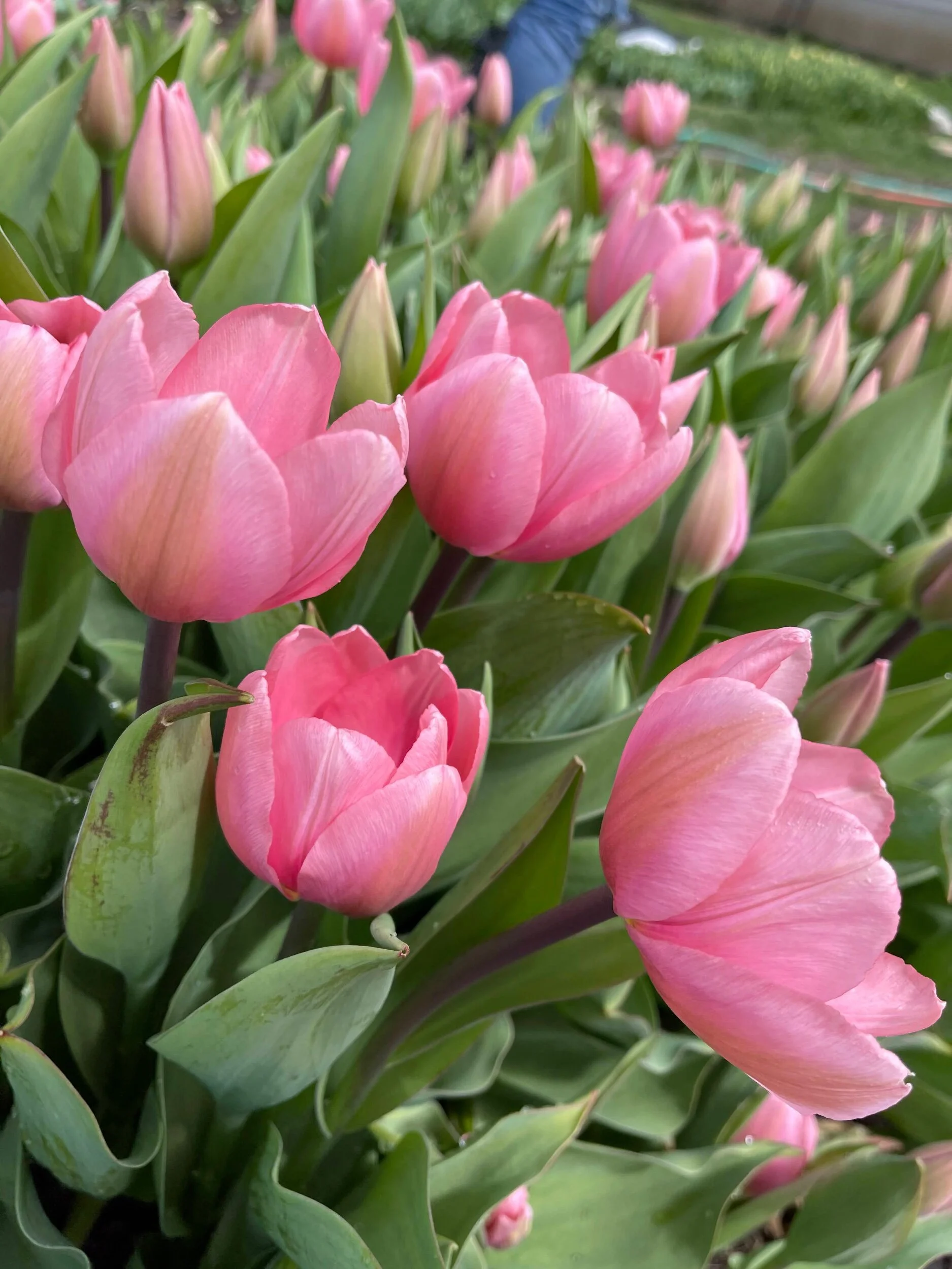 C2CF346C-5C46-4B47-945A-8FF2497B98C0