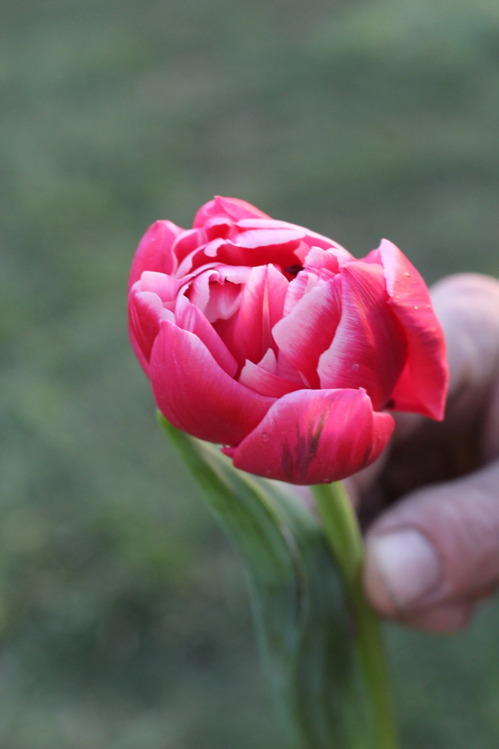 8E78E352-A57B-4903-8E6C-6B6C33717FAC